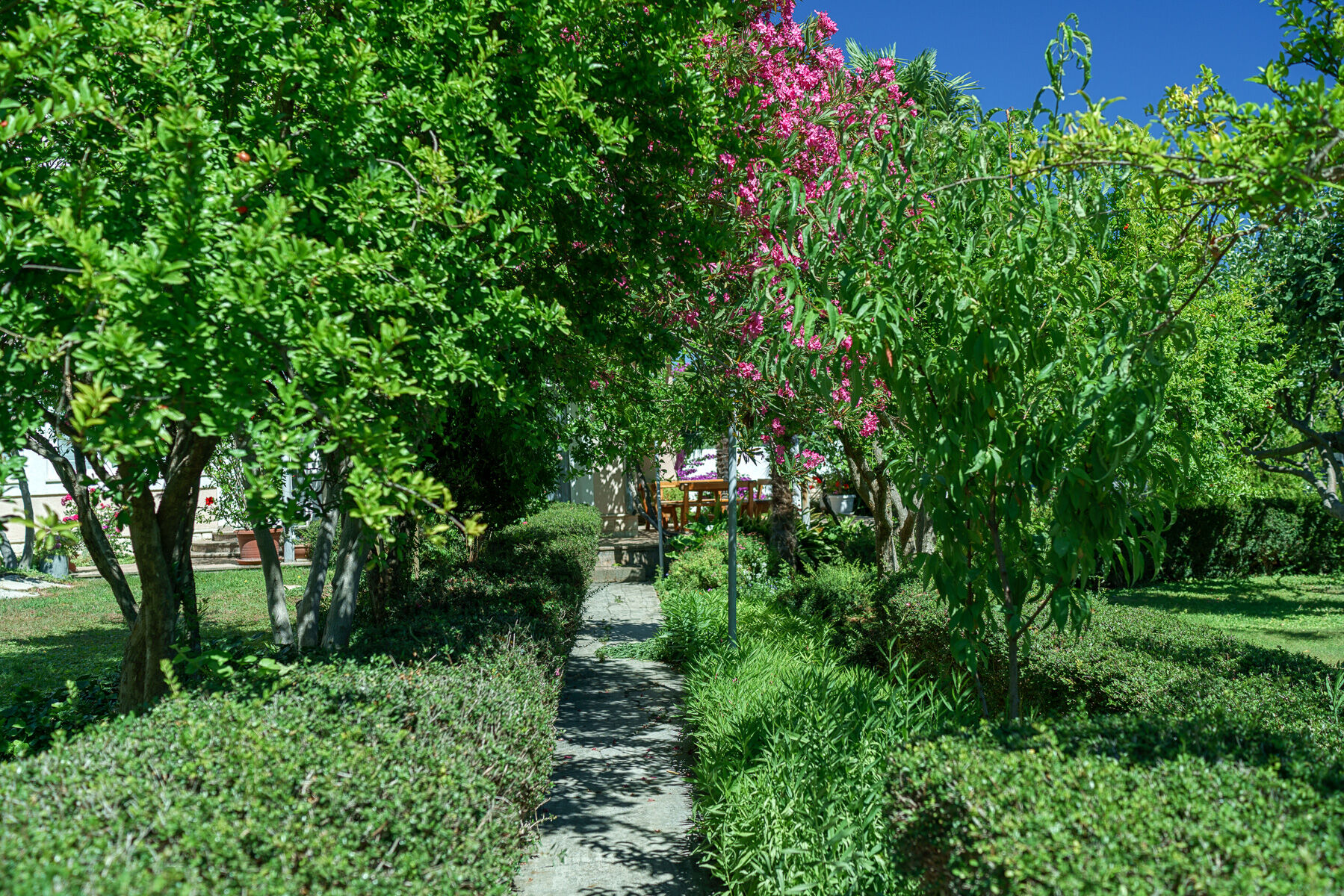 Apartments Nostro Palazzo 79421-A1