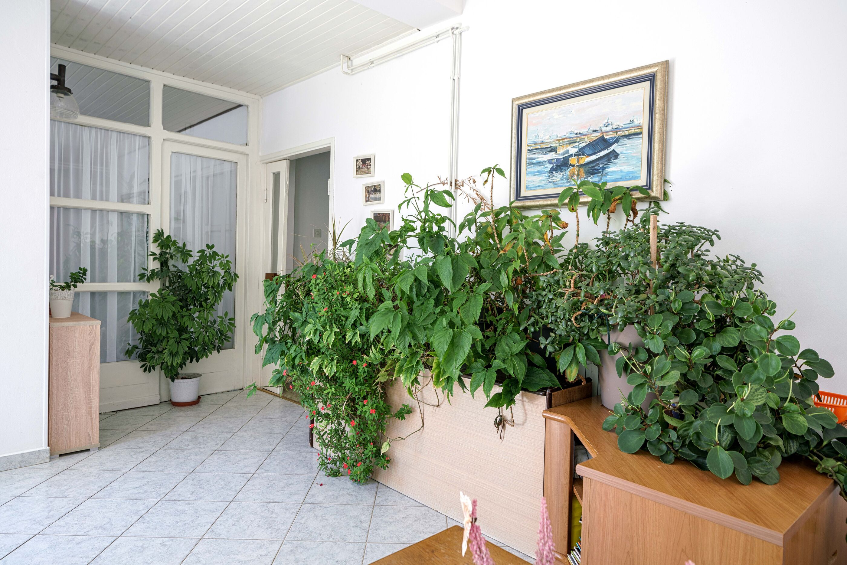 Apartments Nostro Palazzo 79421-A1