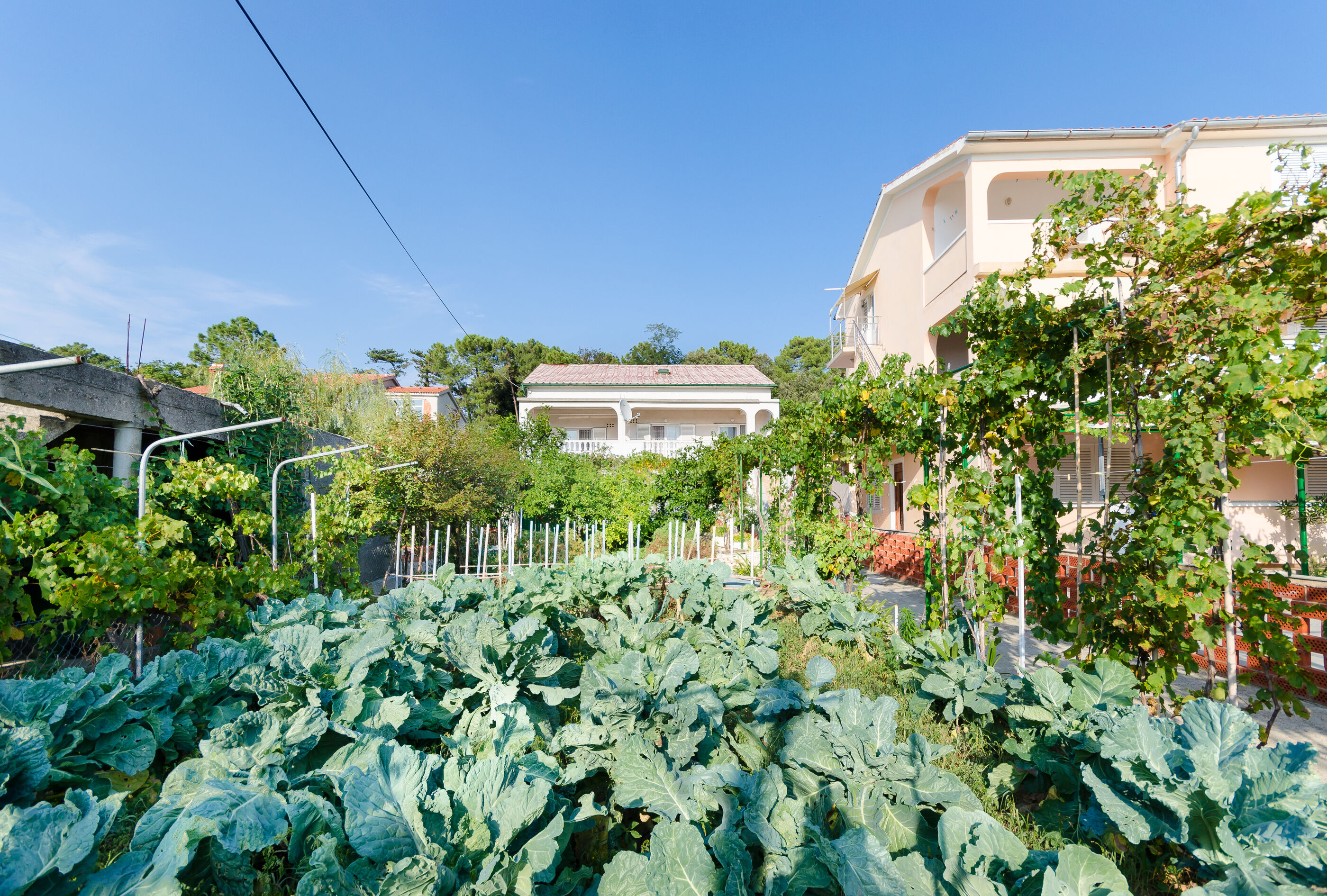 Photo of Apartments Luce