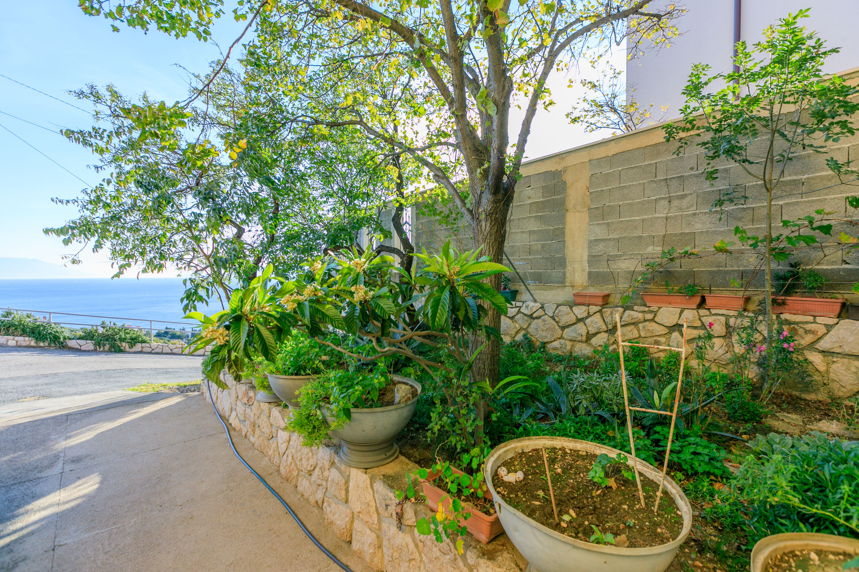 Apartments Novi 79201-A1