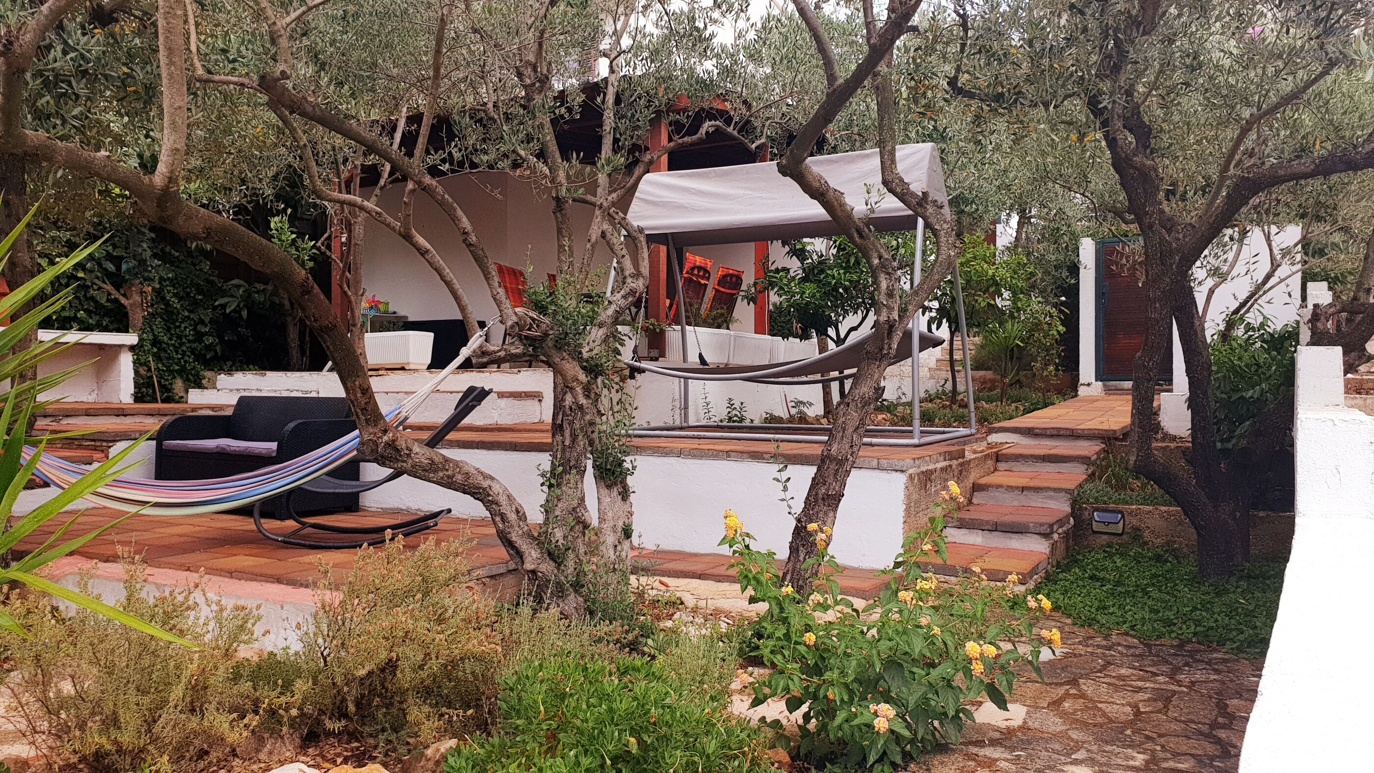 House Oliva 94016-K1