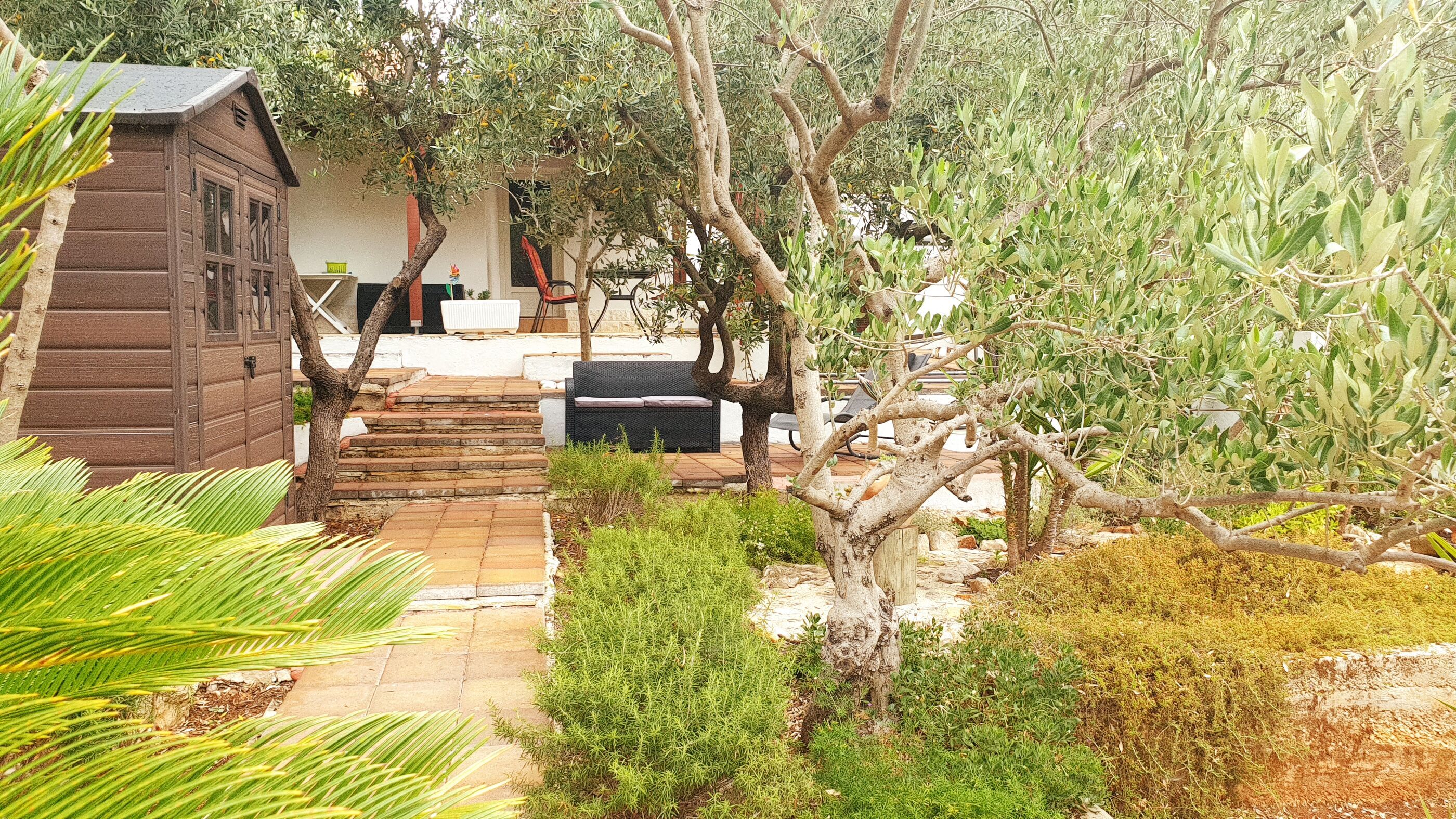 House Oliva 94016-K1