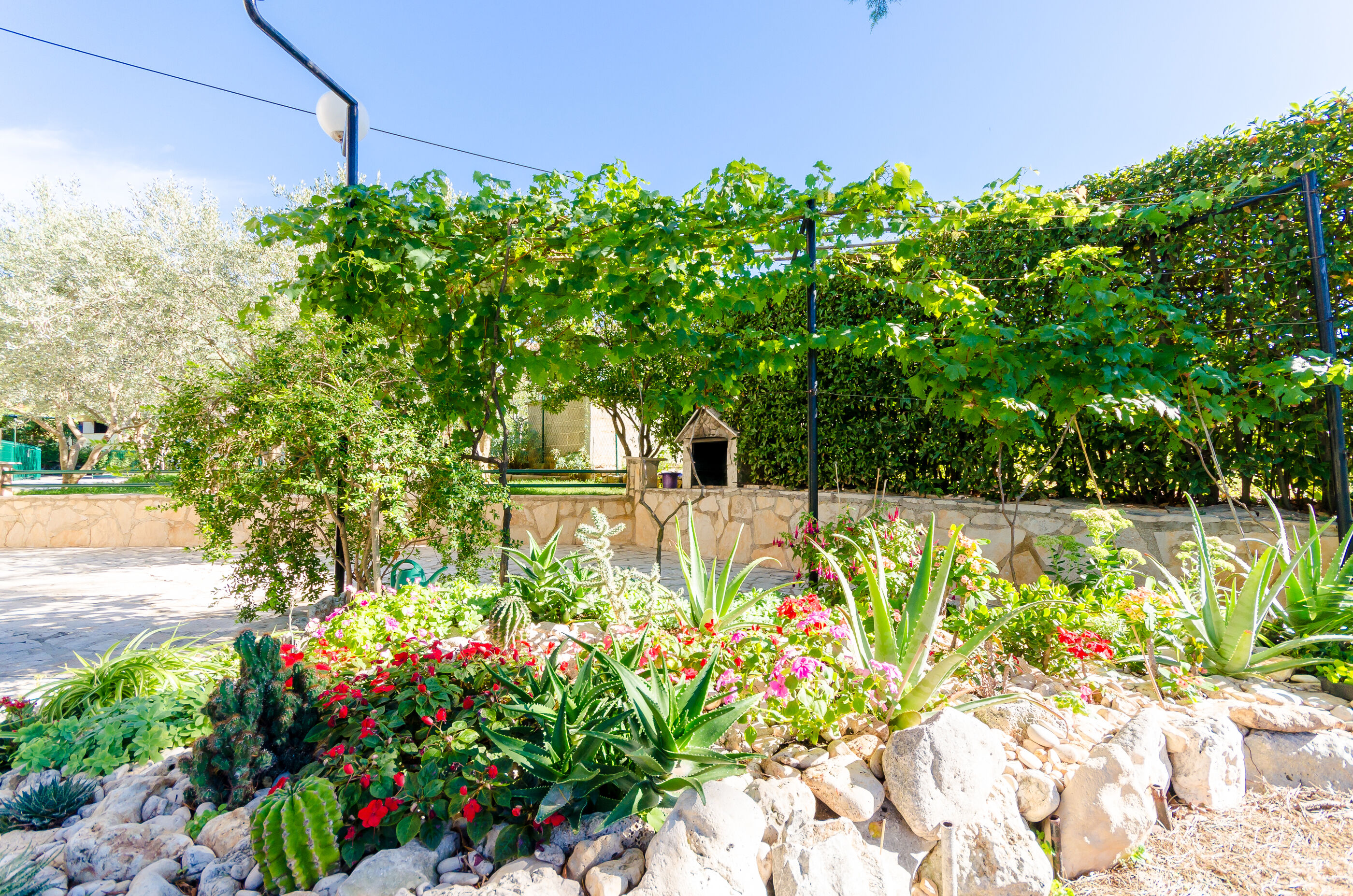 Apartments Dragutin 70501-A3