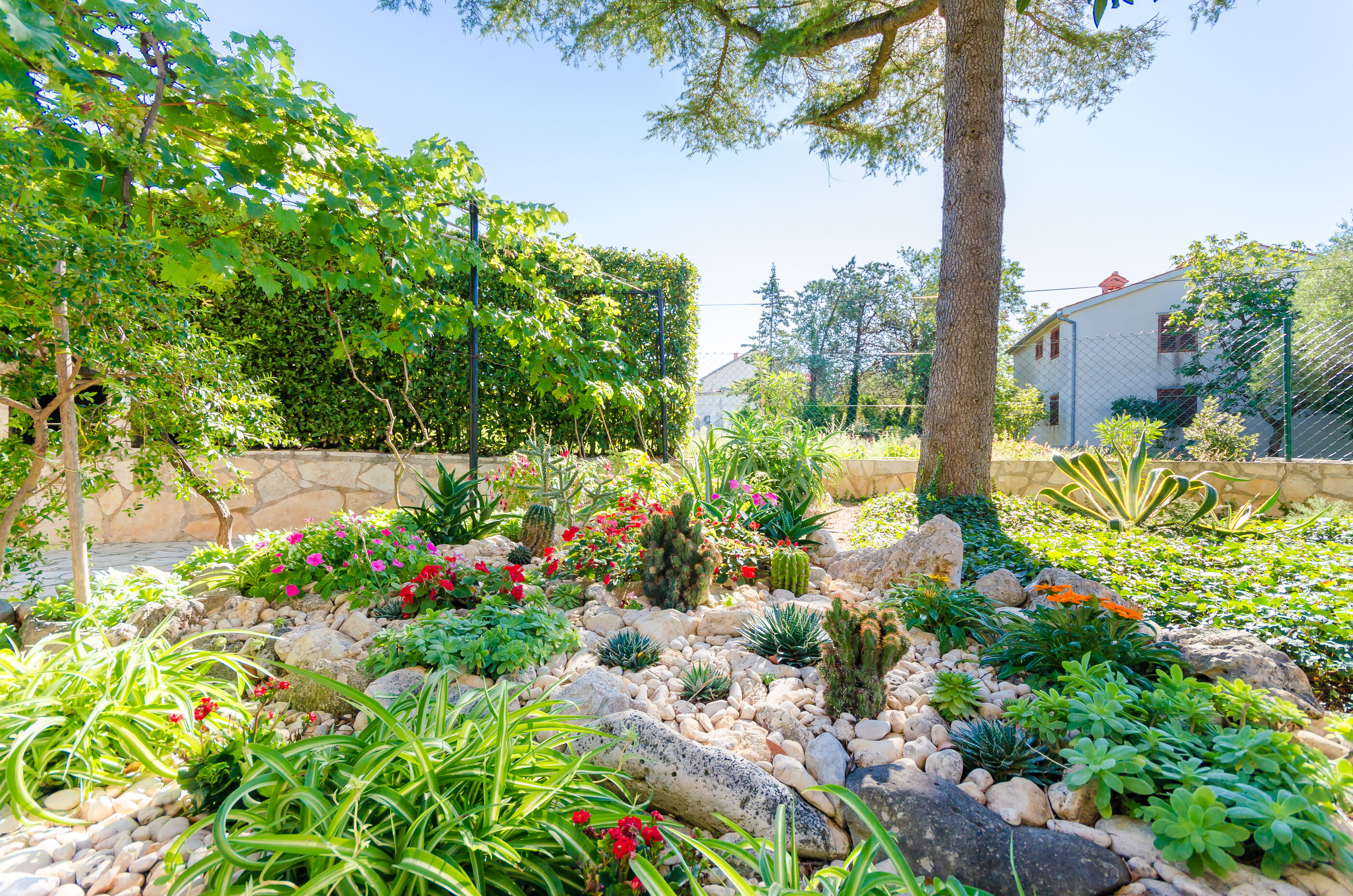 Photo of Apartments Dragutin