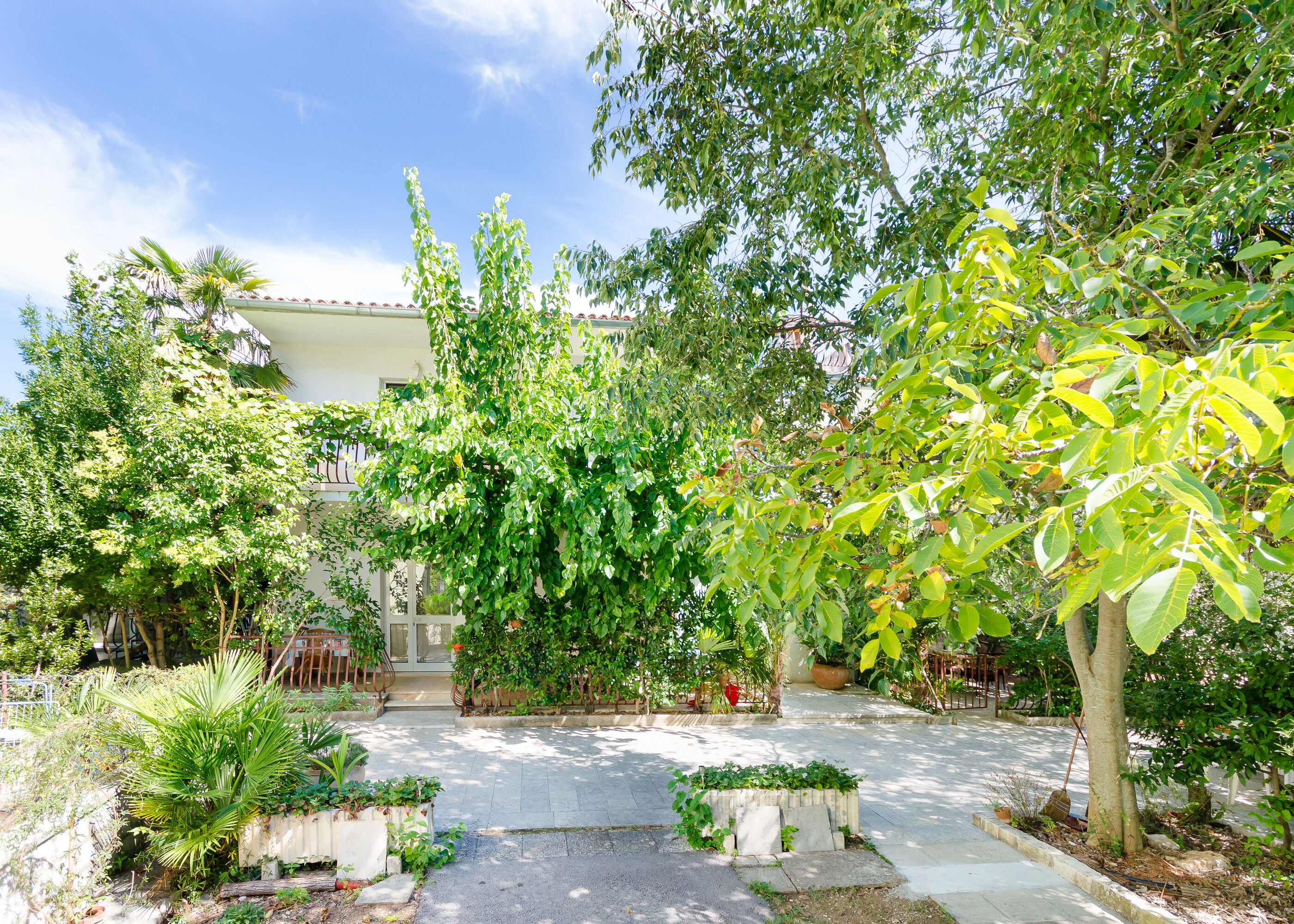 Photo of Apartments Massimo