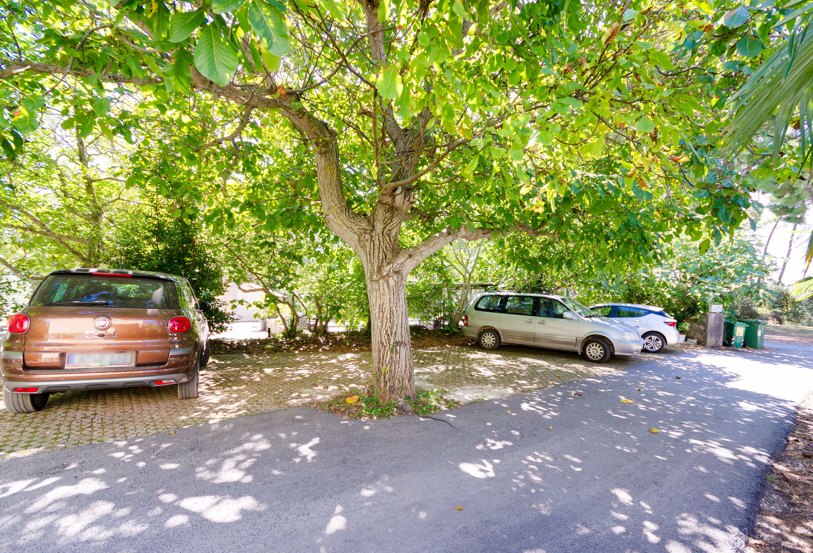 Photo of Apartments Massimo