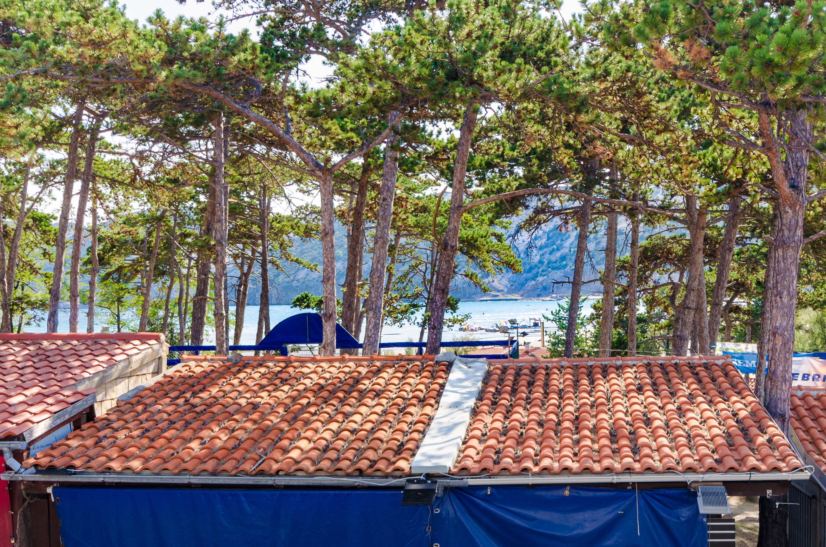 Apartments Ruza-Rajska beach 87042-A2