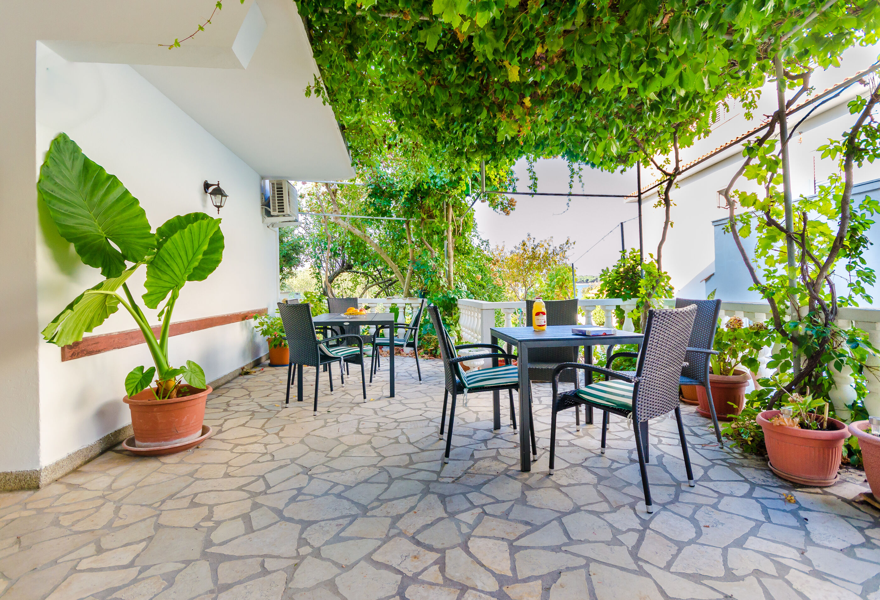 Photo of Apartments and Rooms Bianca