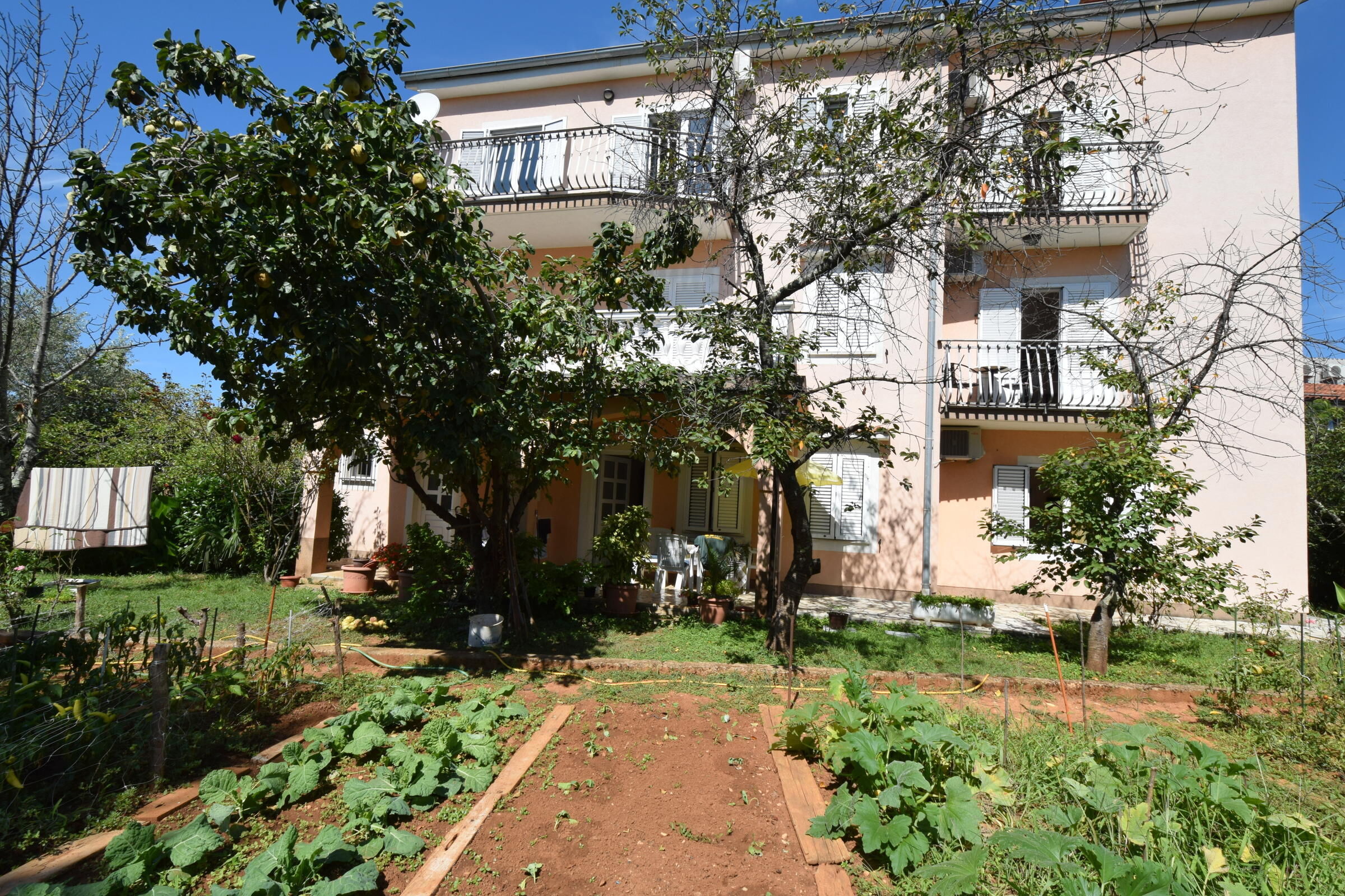 Apartments Jelka 62215-A3