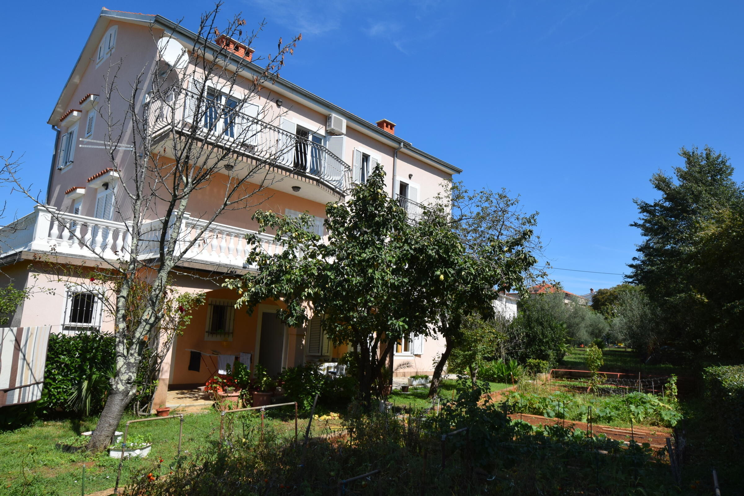 Apartments Jelka 62215-A3