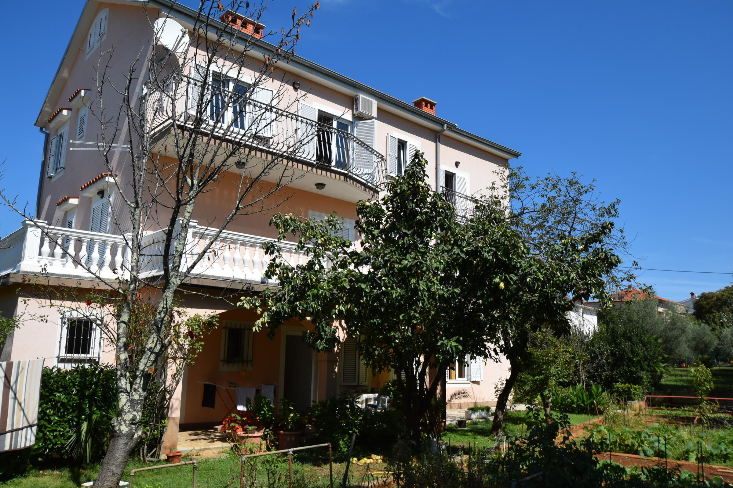 Apartments Jelka 62215-A3