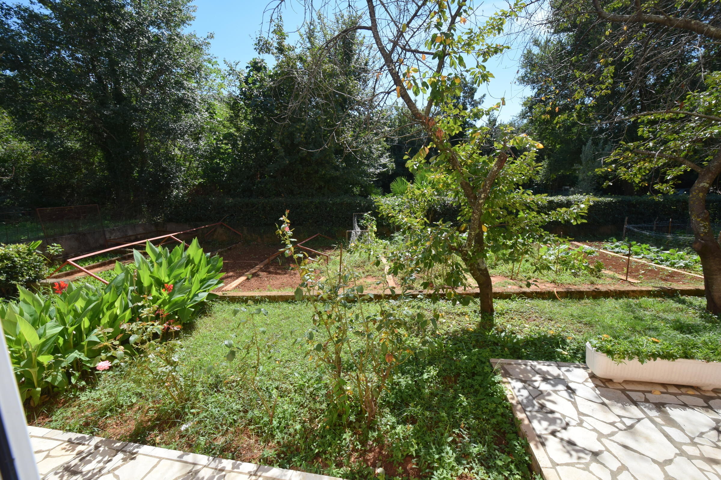 Apartments Jelka 62215-A1