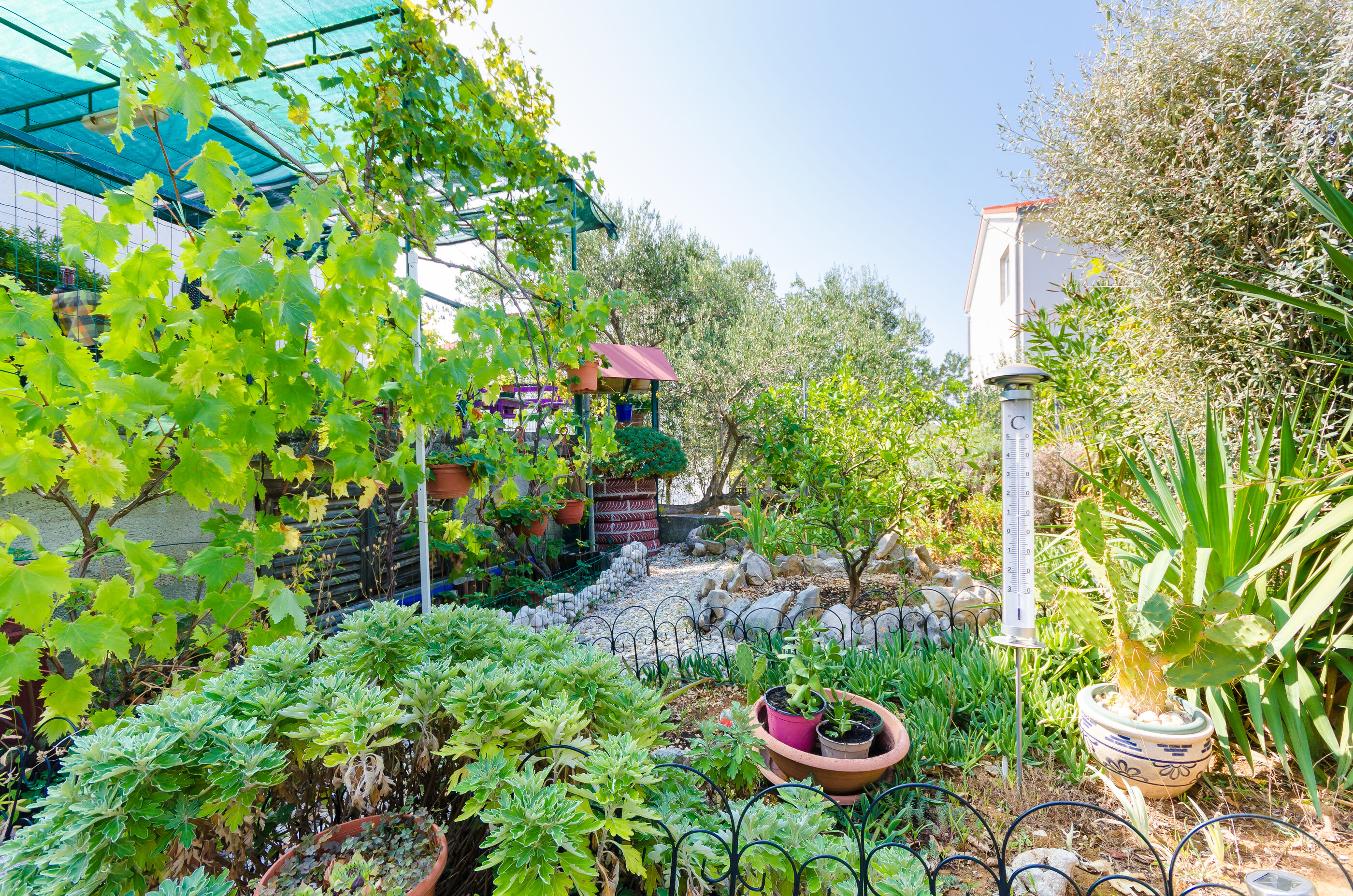 Photo of Apartments Ines