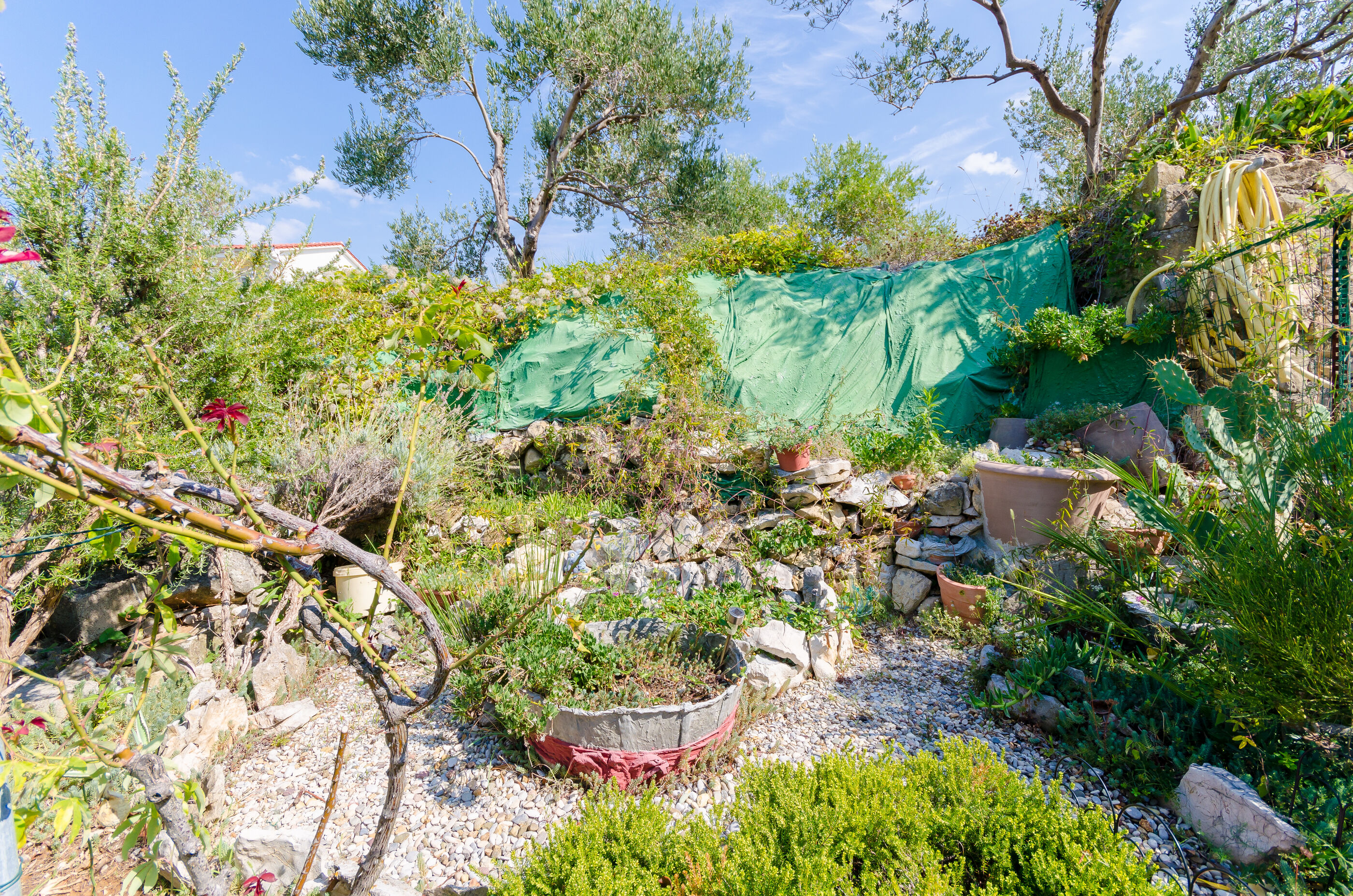 Photo of Apartments Ines