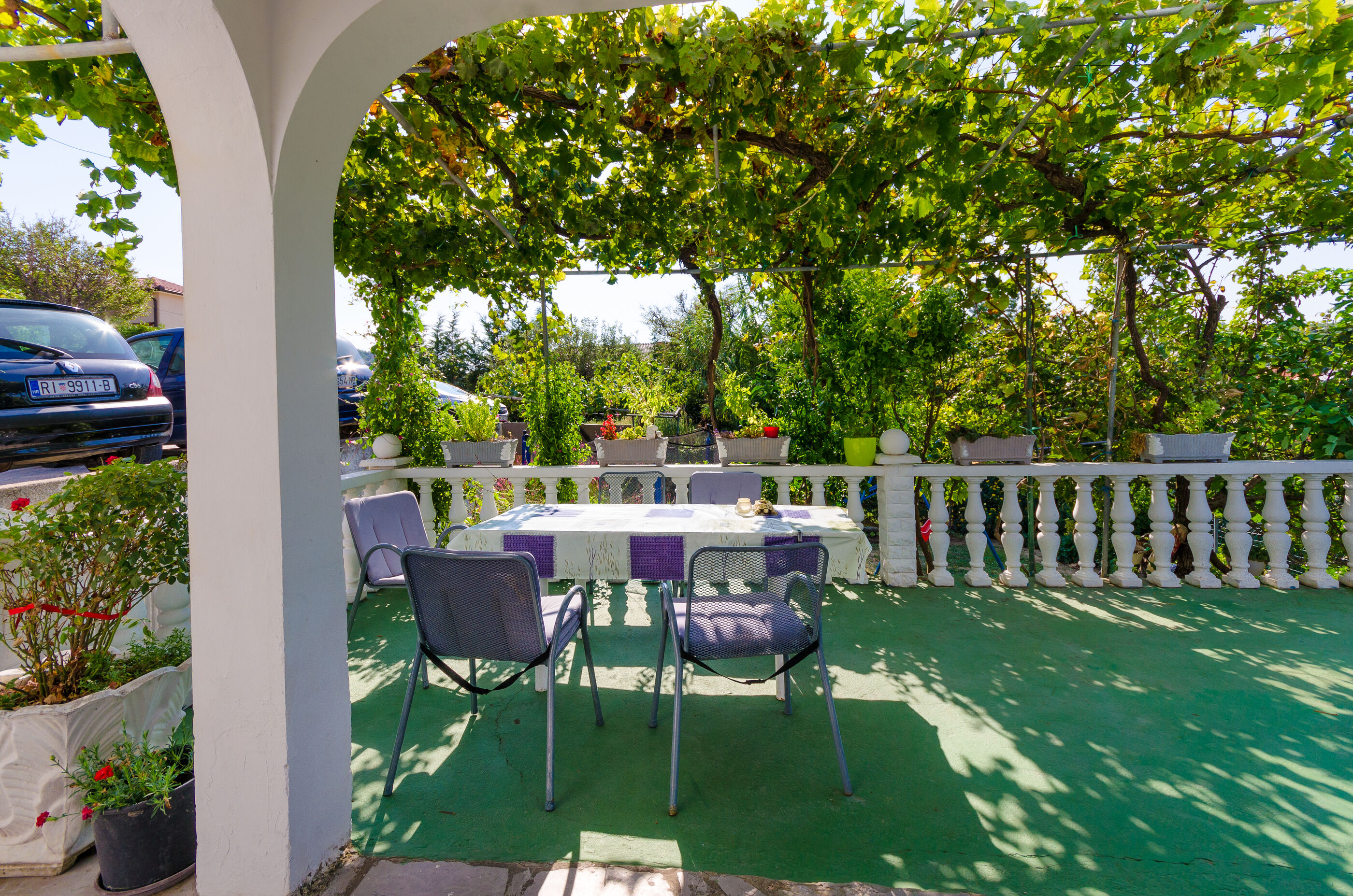 Photo of Apartments Pela