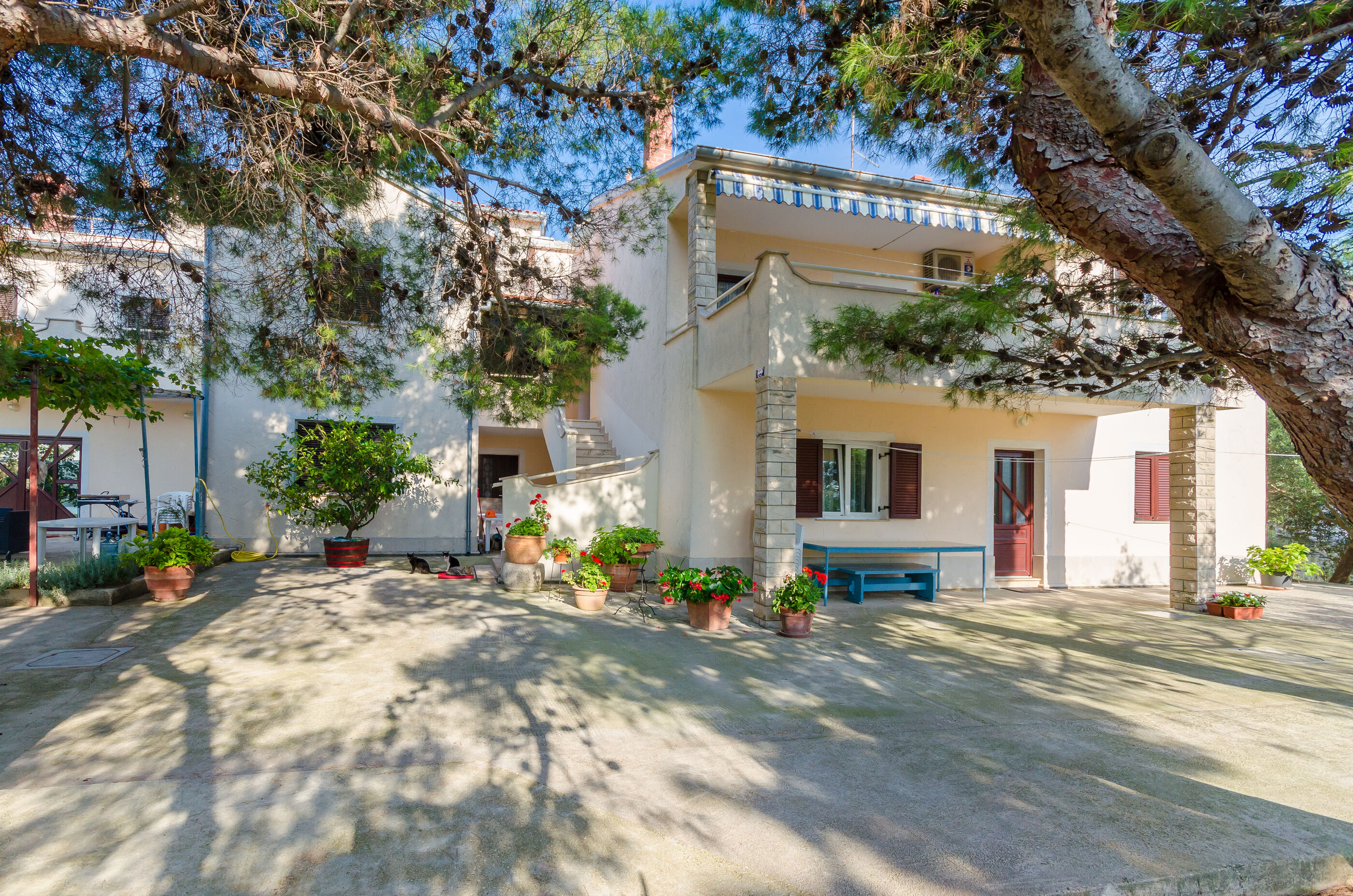 Apartments Ratko 70161-A3