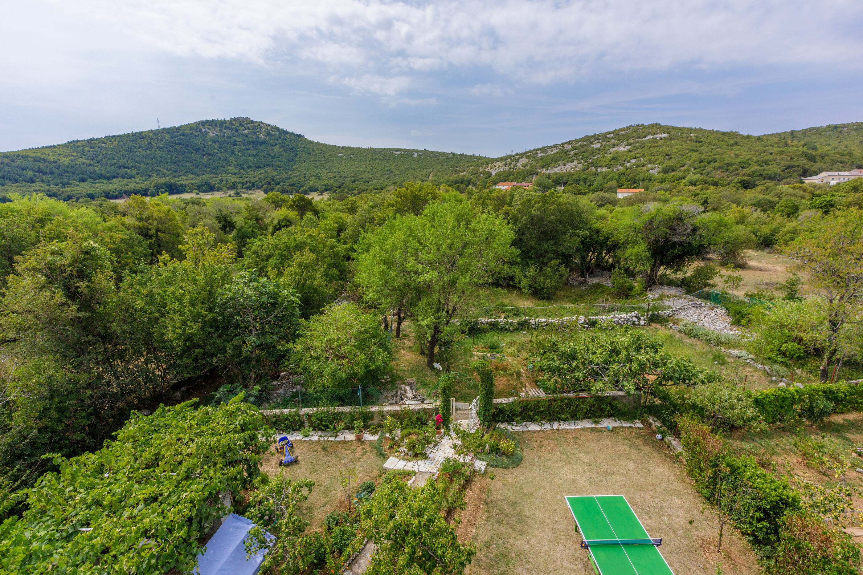 Apartments Ledy 79031-A2
