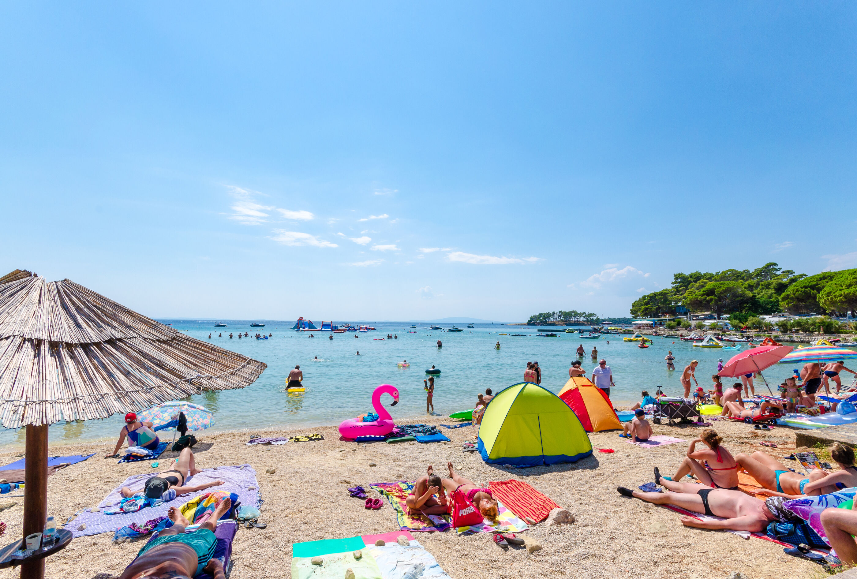 Photo of Apartments Ines