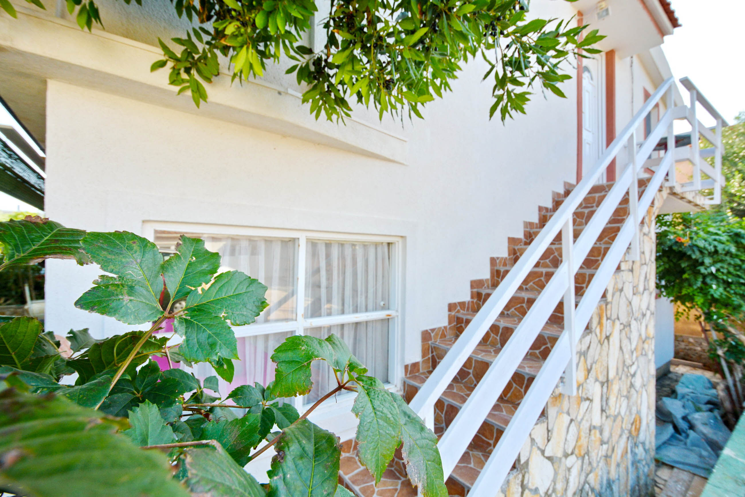 Photo of Apartment Velimir