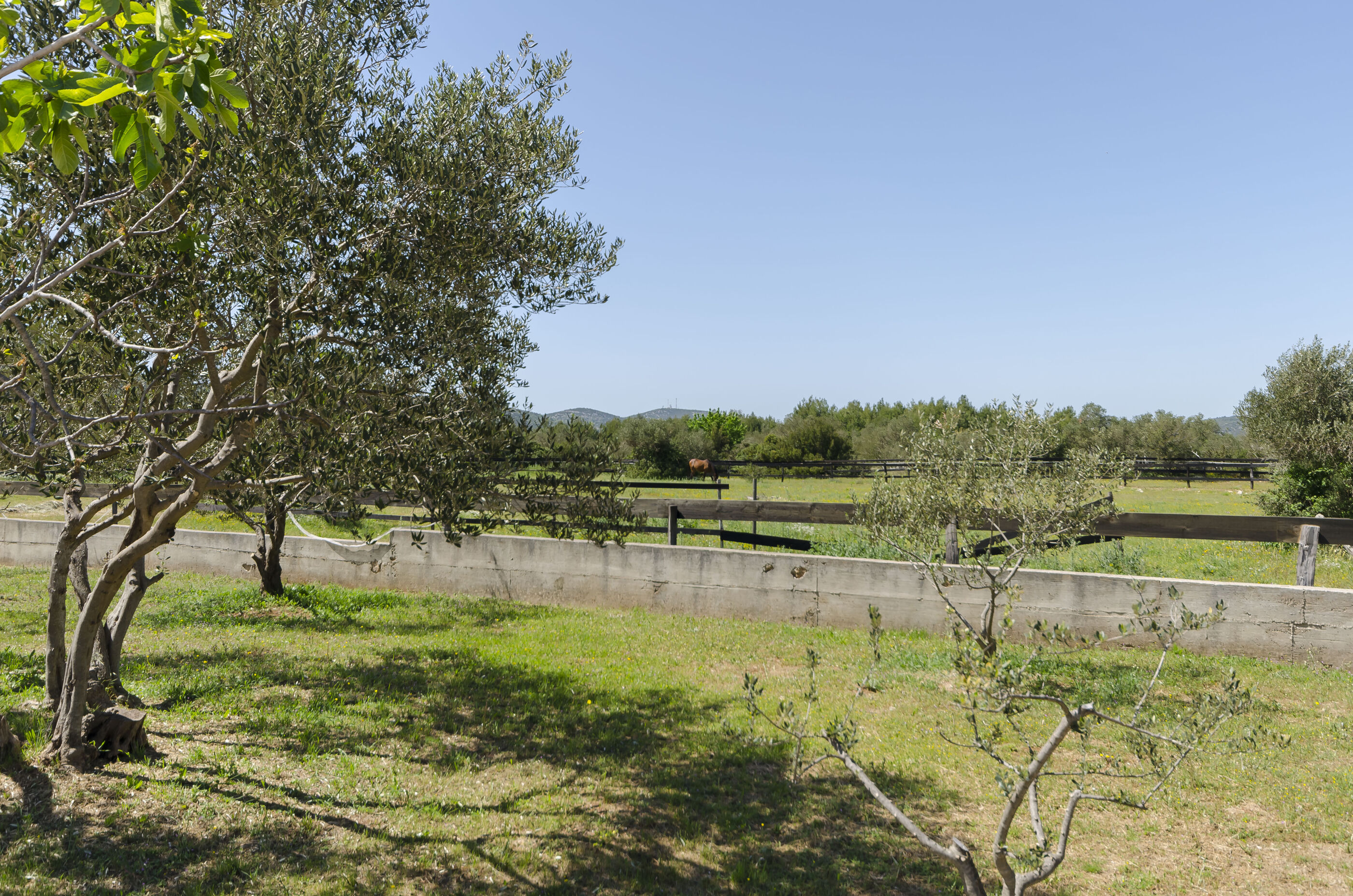 House Hacienda 80831-K1