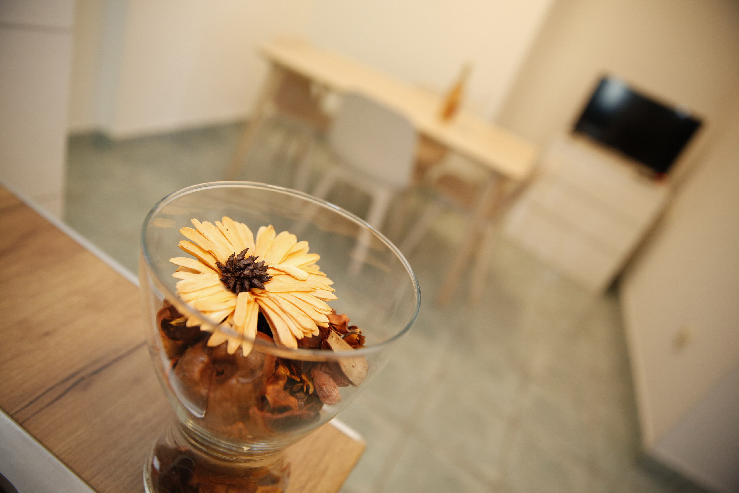 Apartments Branko 11421-A1