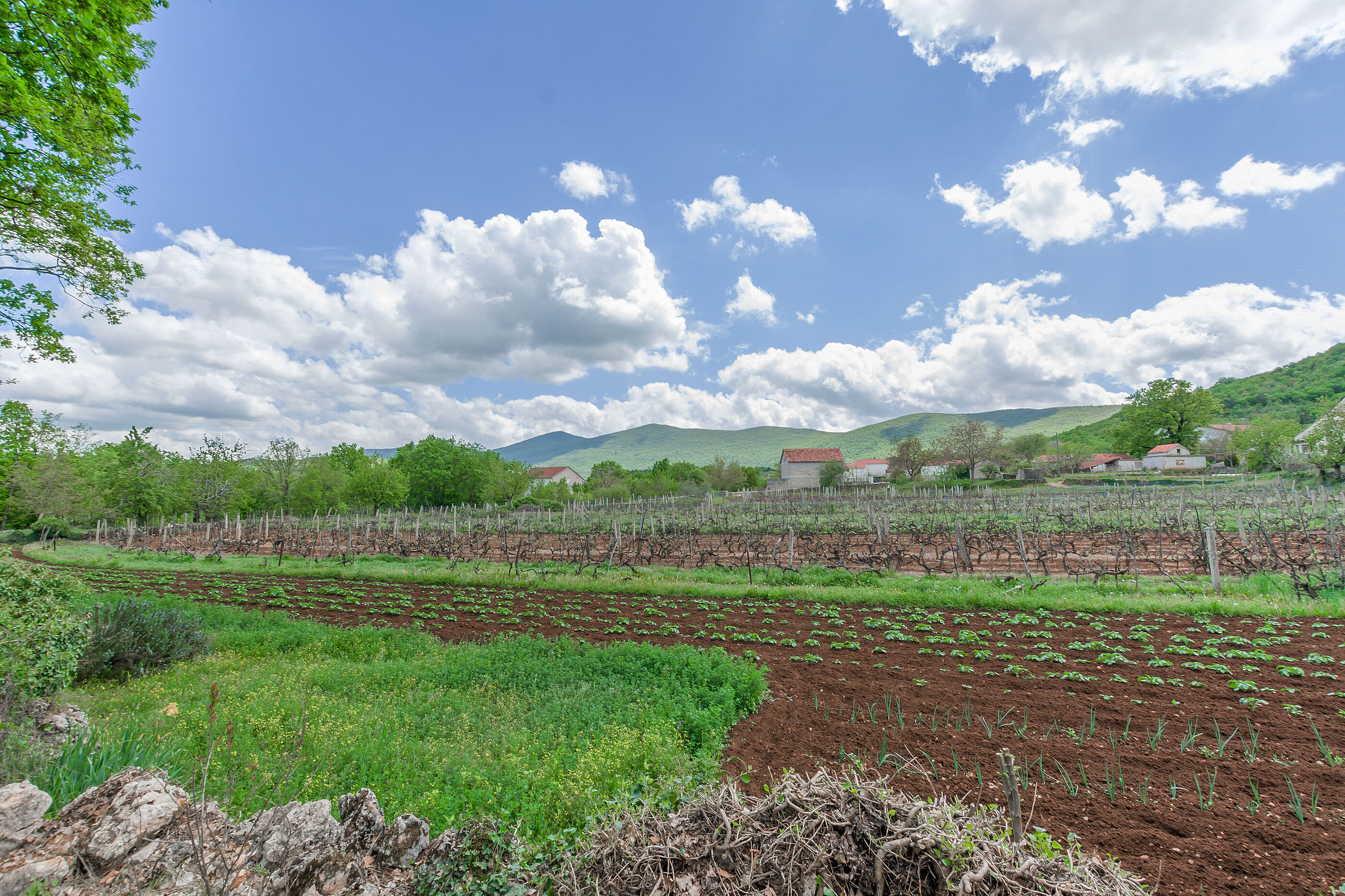 House Mali dvori 81161-K1