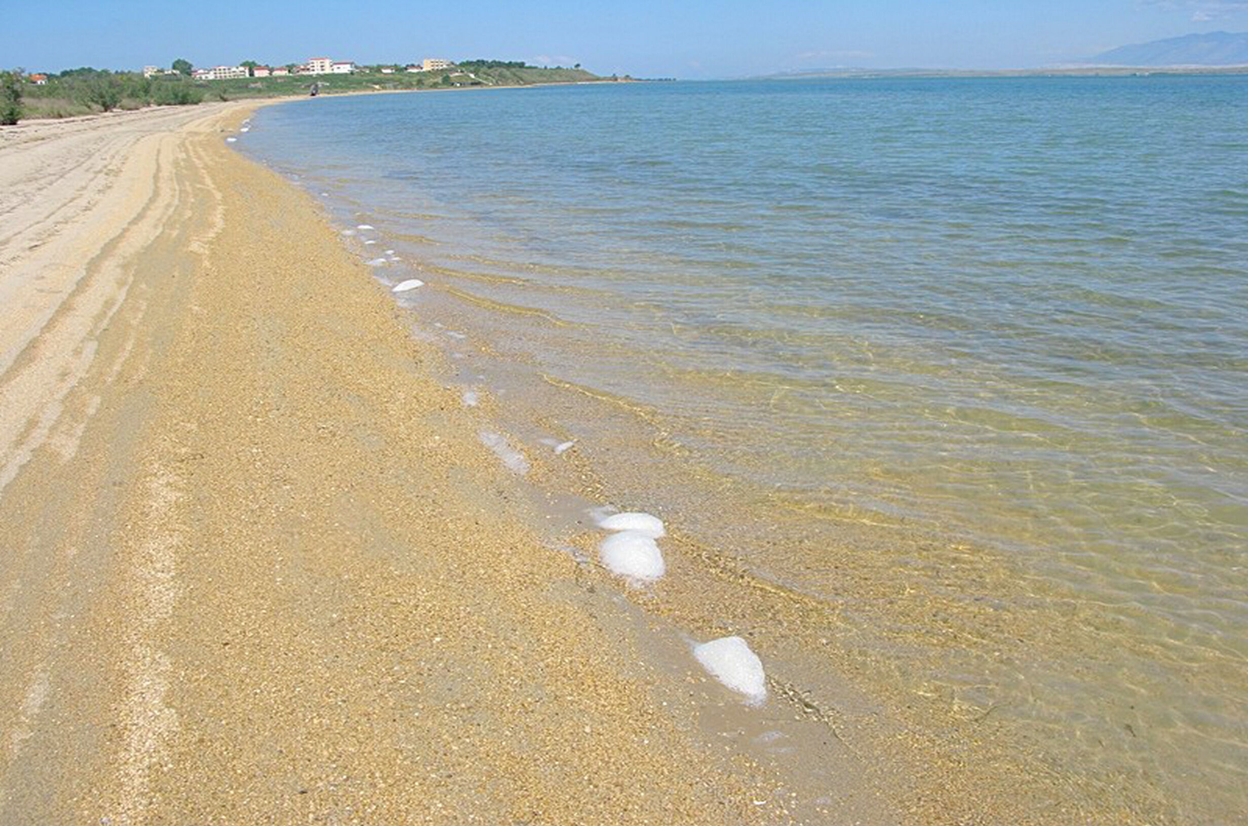 Photo of Apartments Nikola