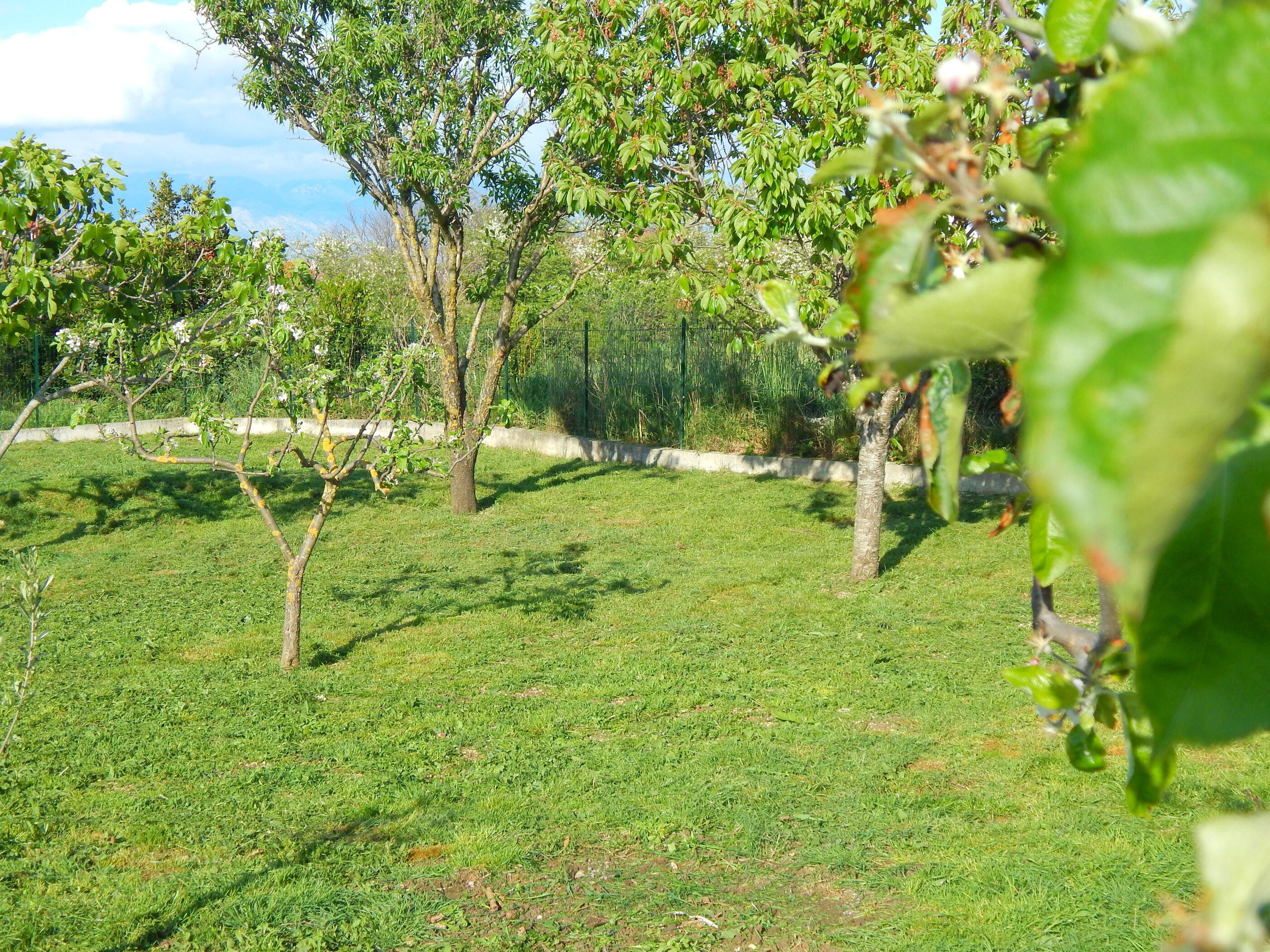 Apartments Nikola 81291-A2