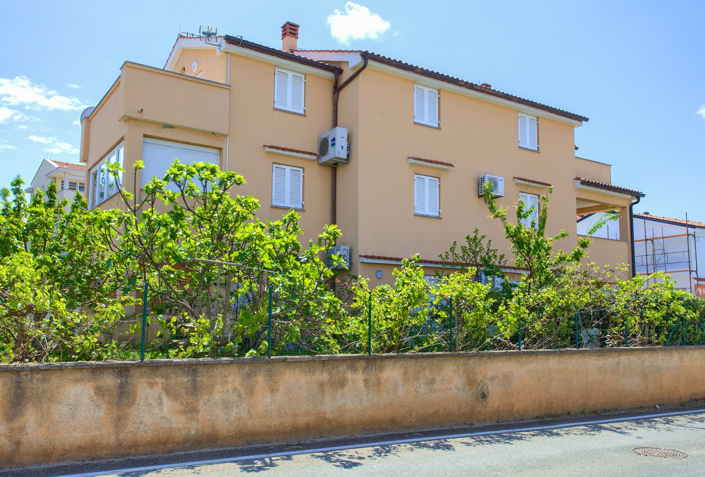Apartments Aster 62279-A2