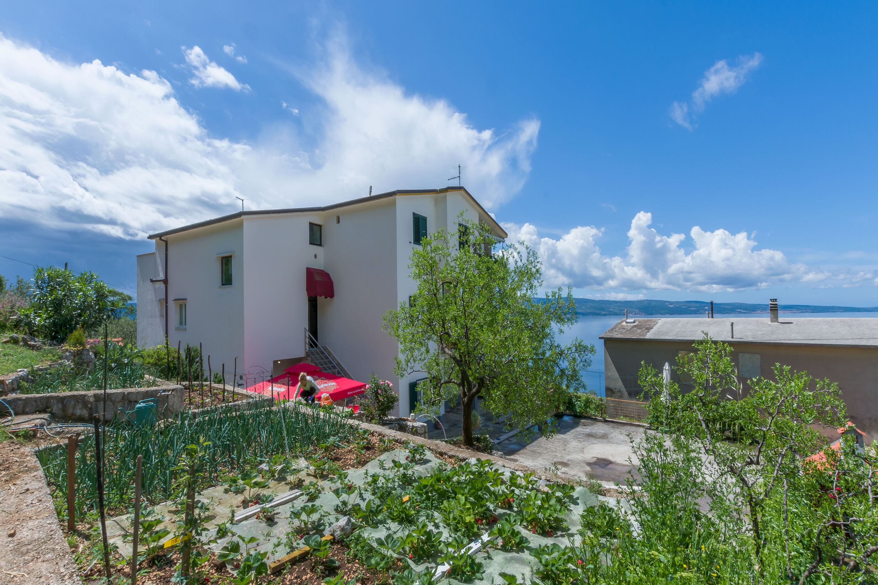Apartments Jasna 35911-A4