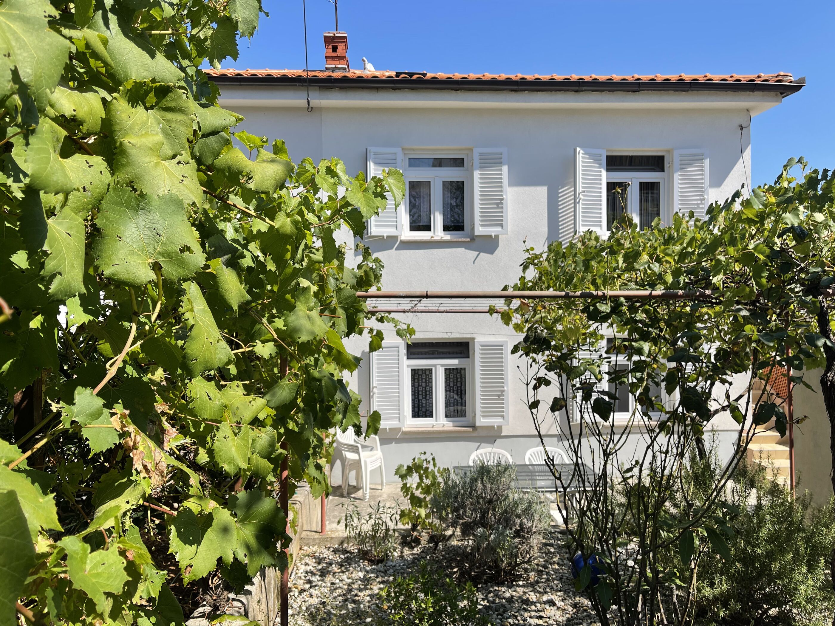 Apartments Bohović 69511-A1