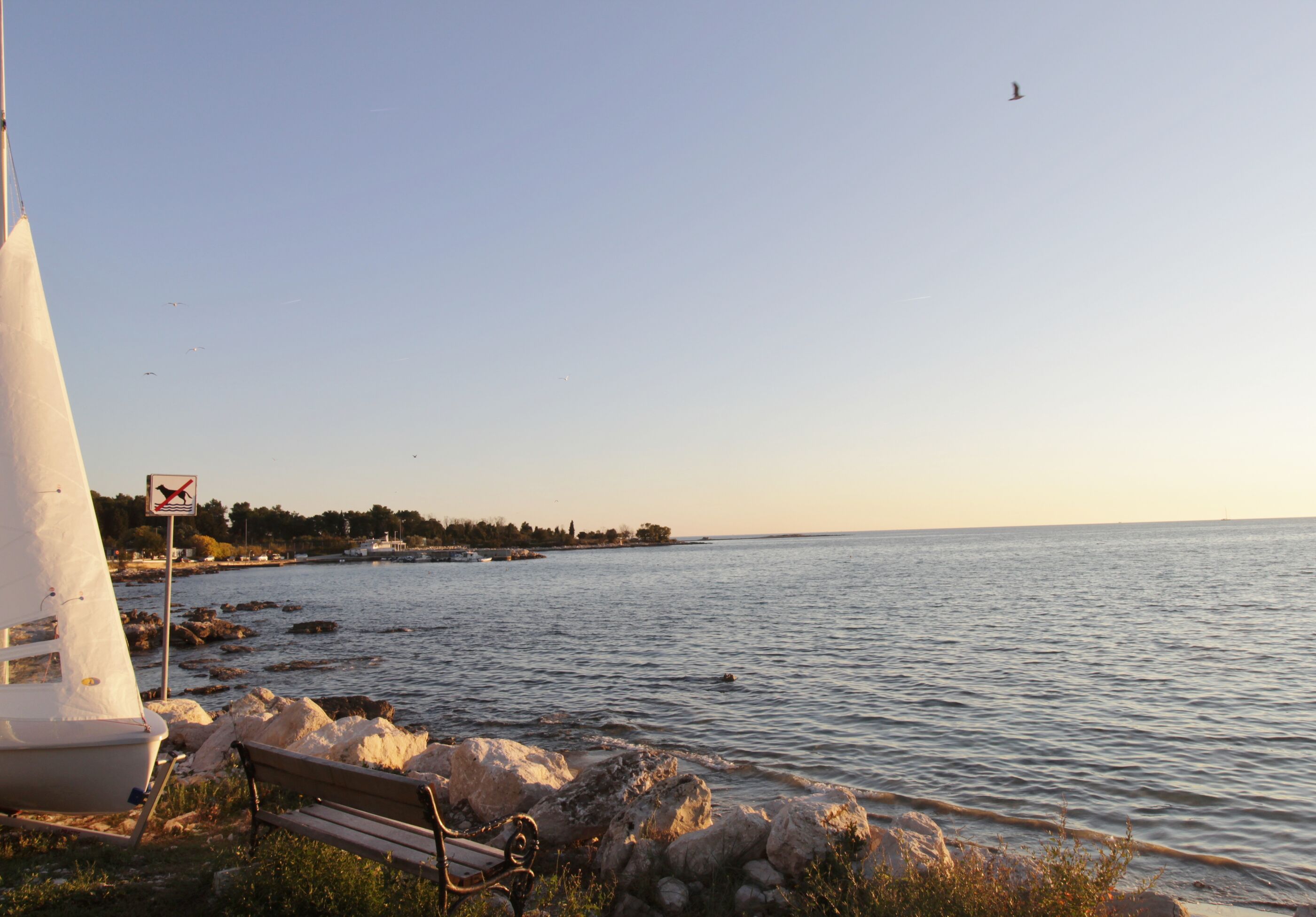 Apartments Zambratija with sea view 81513-A1