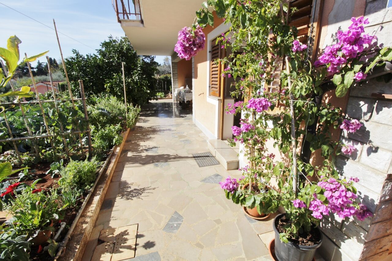 Apartments Marija Savudrija 81514-A2