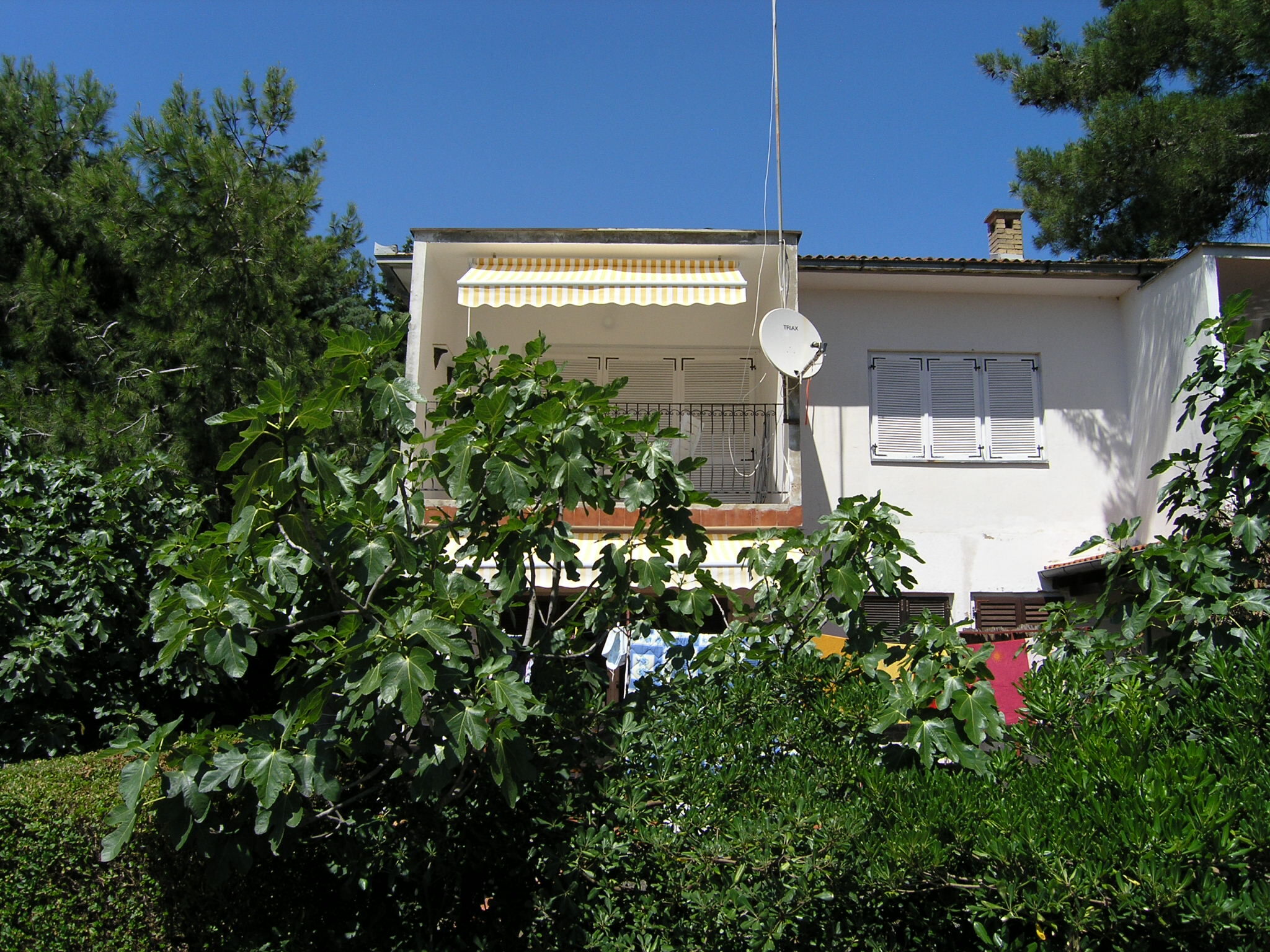 Apartments DAMIJAN 15701-A2