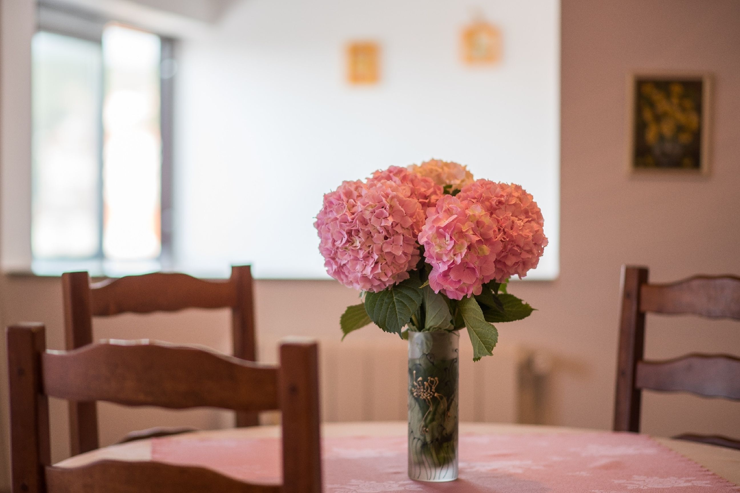 Apartment Sandra 15451-A1