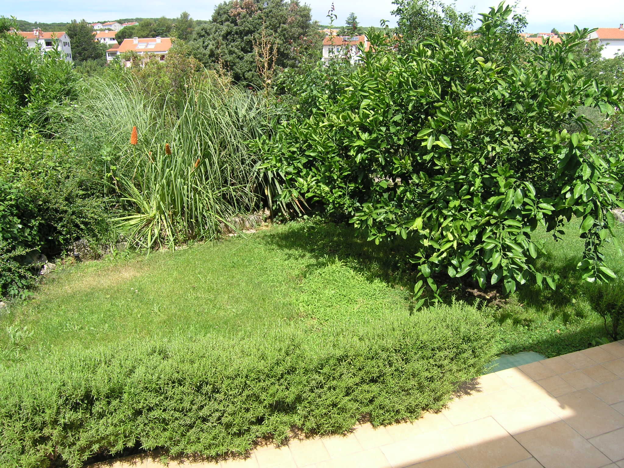 Apartments Jadranka 93993-A1