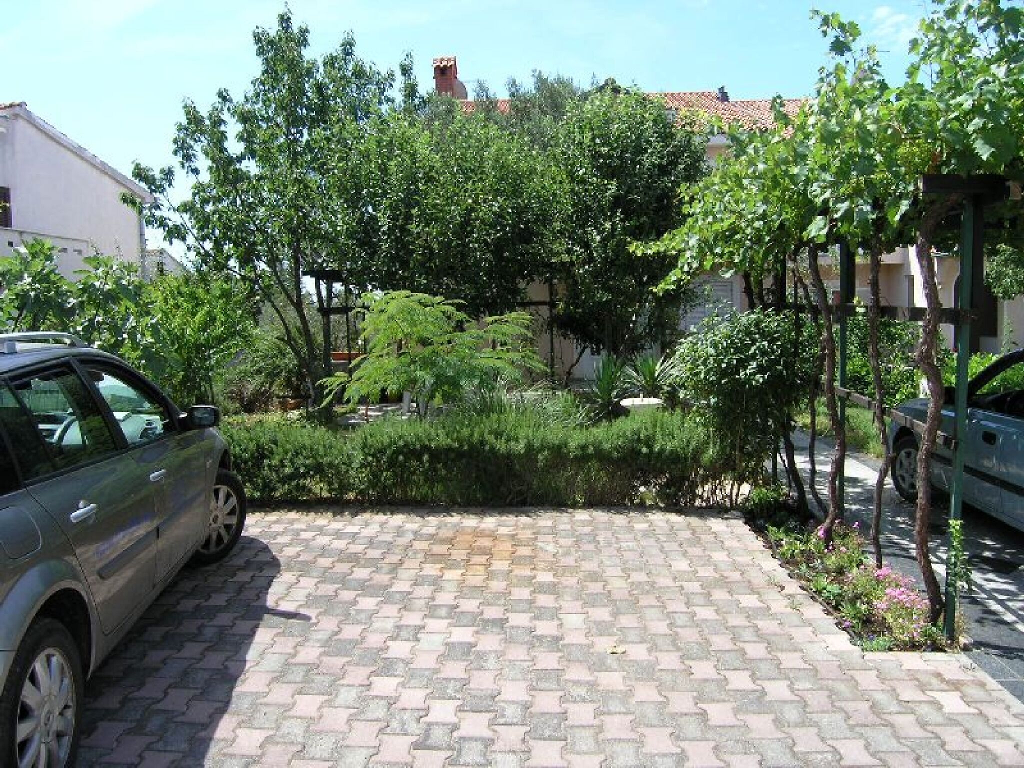 Apartments Merima 15731-A1