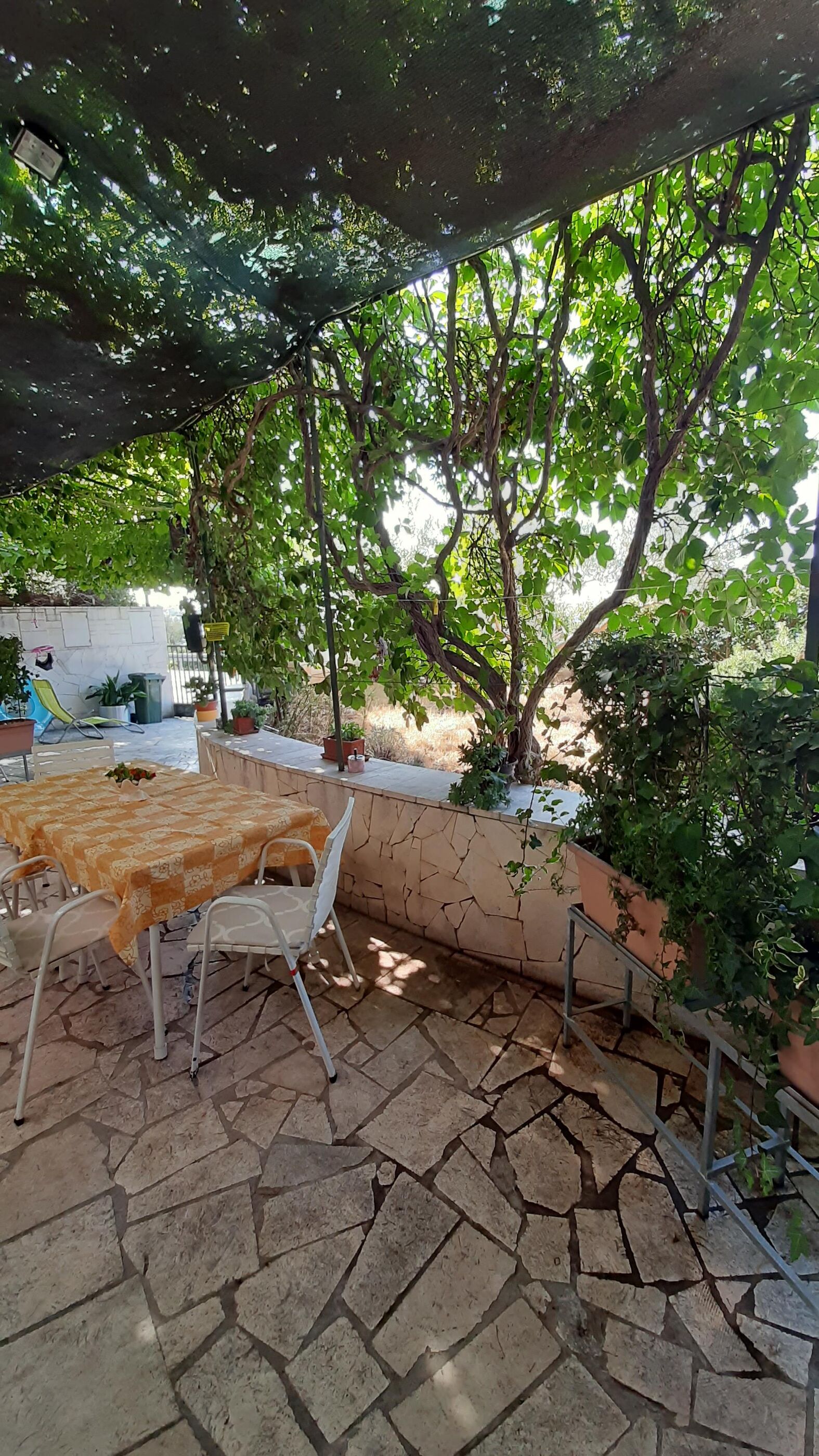 Apartment Željka A2