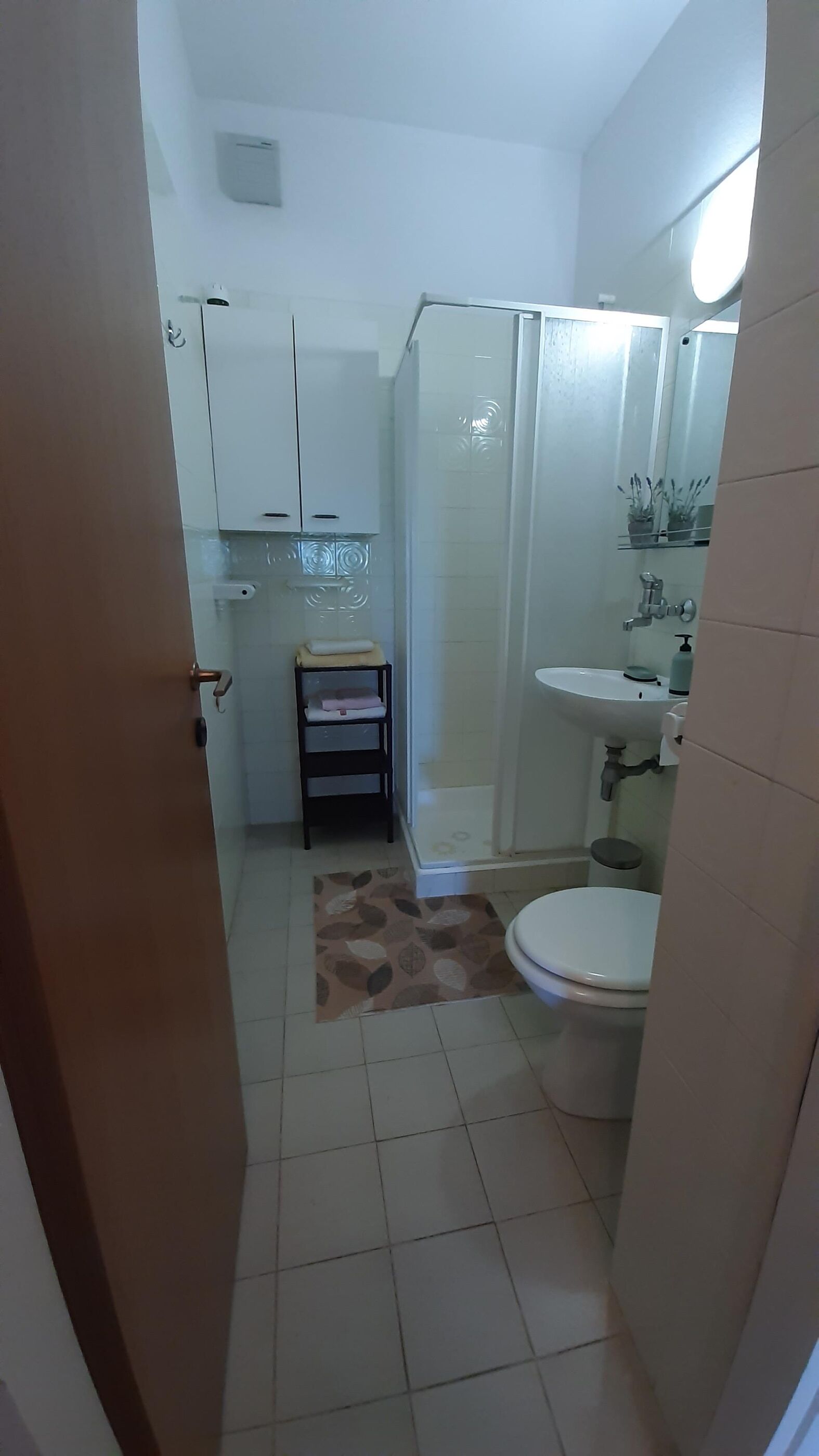 Apartment Željka A2