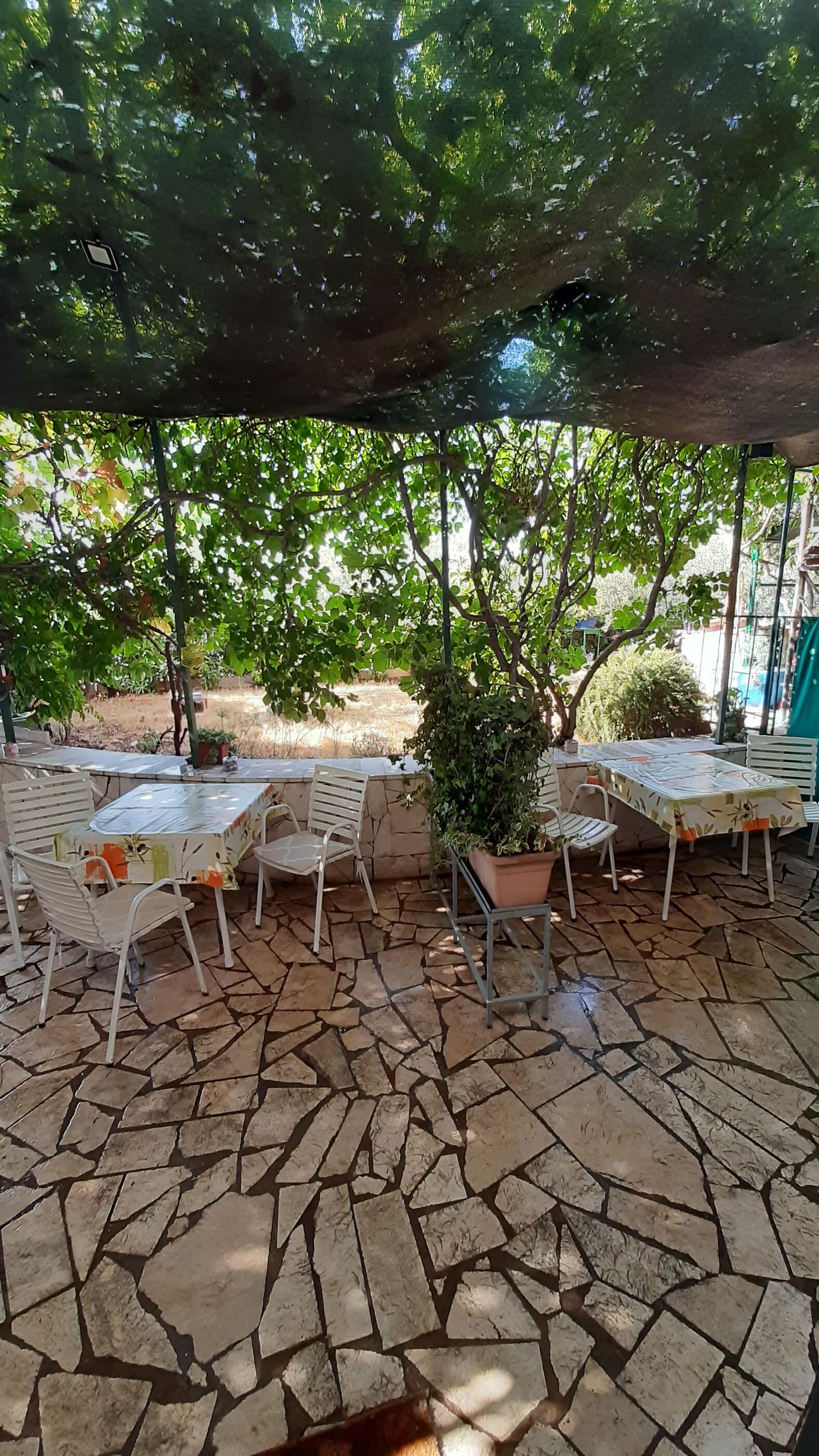 Apartment Željka A2