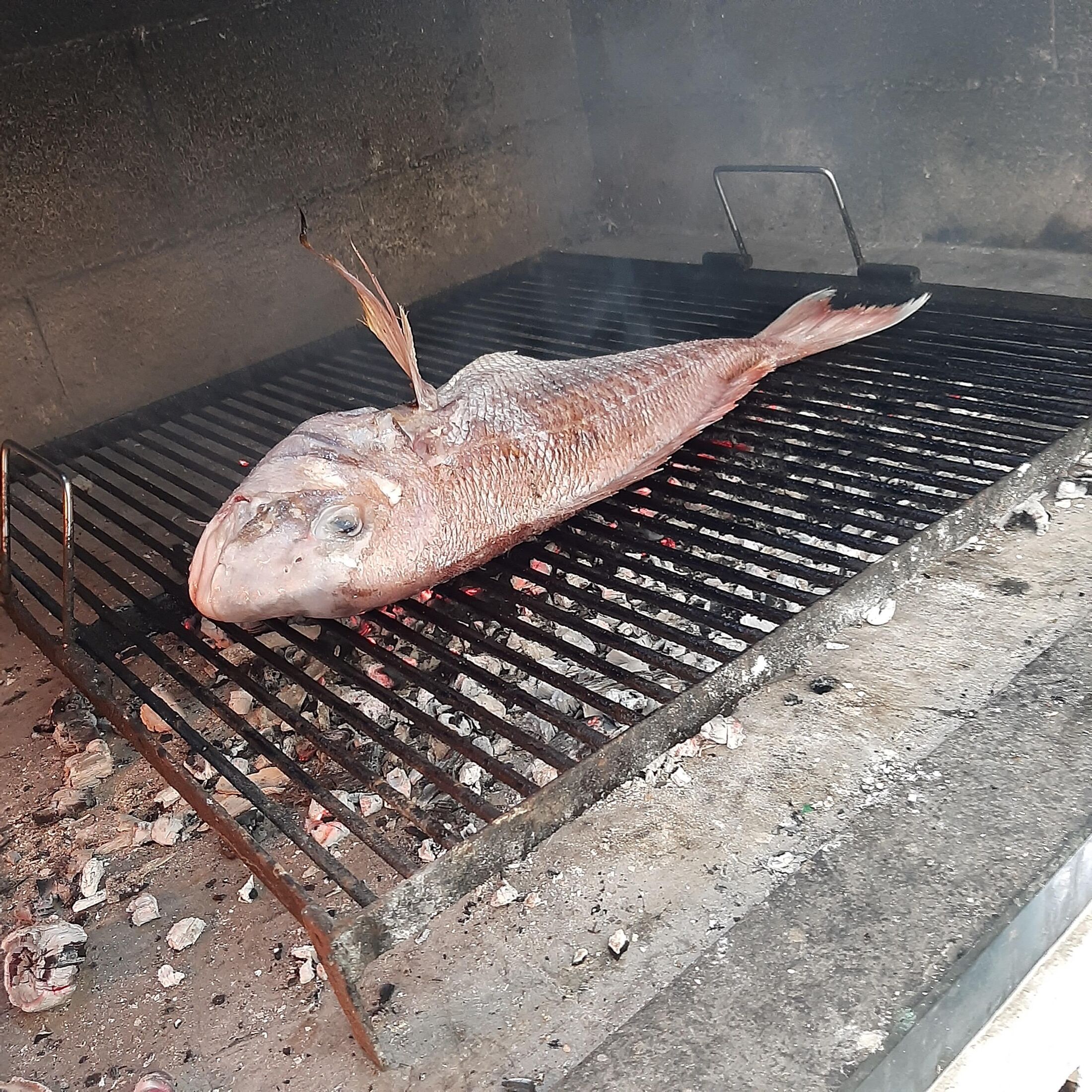 Apartment Željka A2