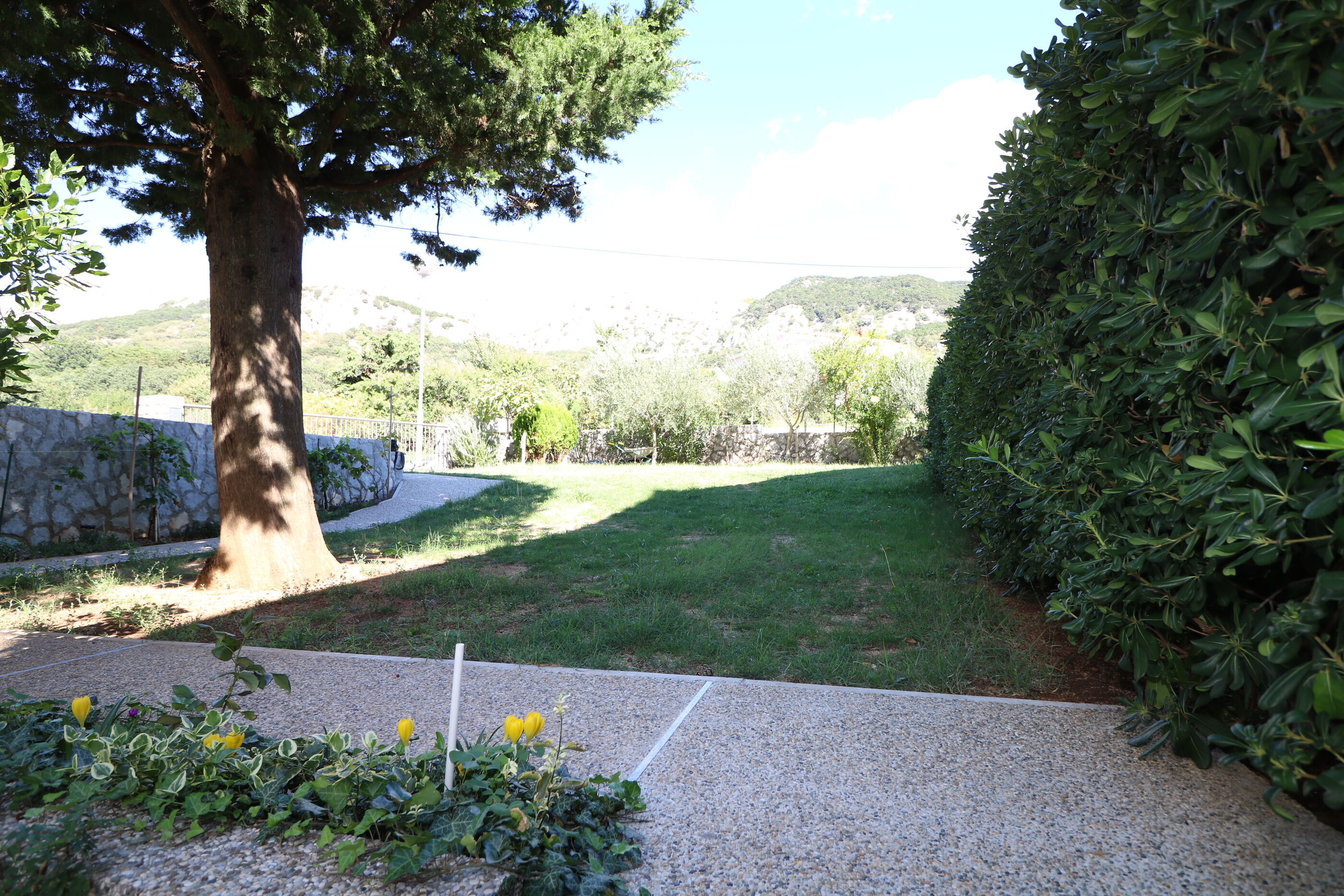 Apartment Viktorija 25345-A1