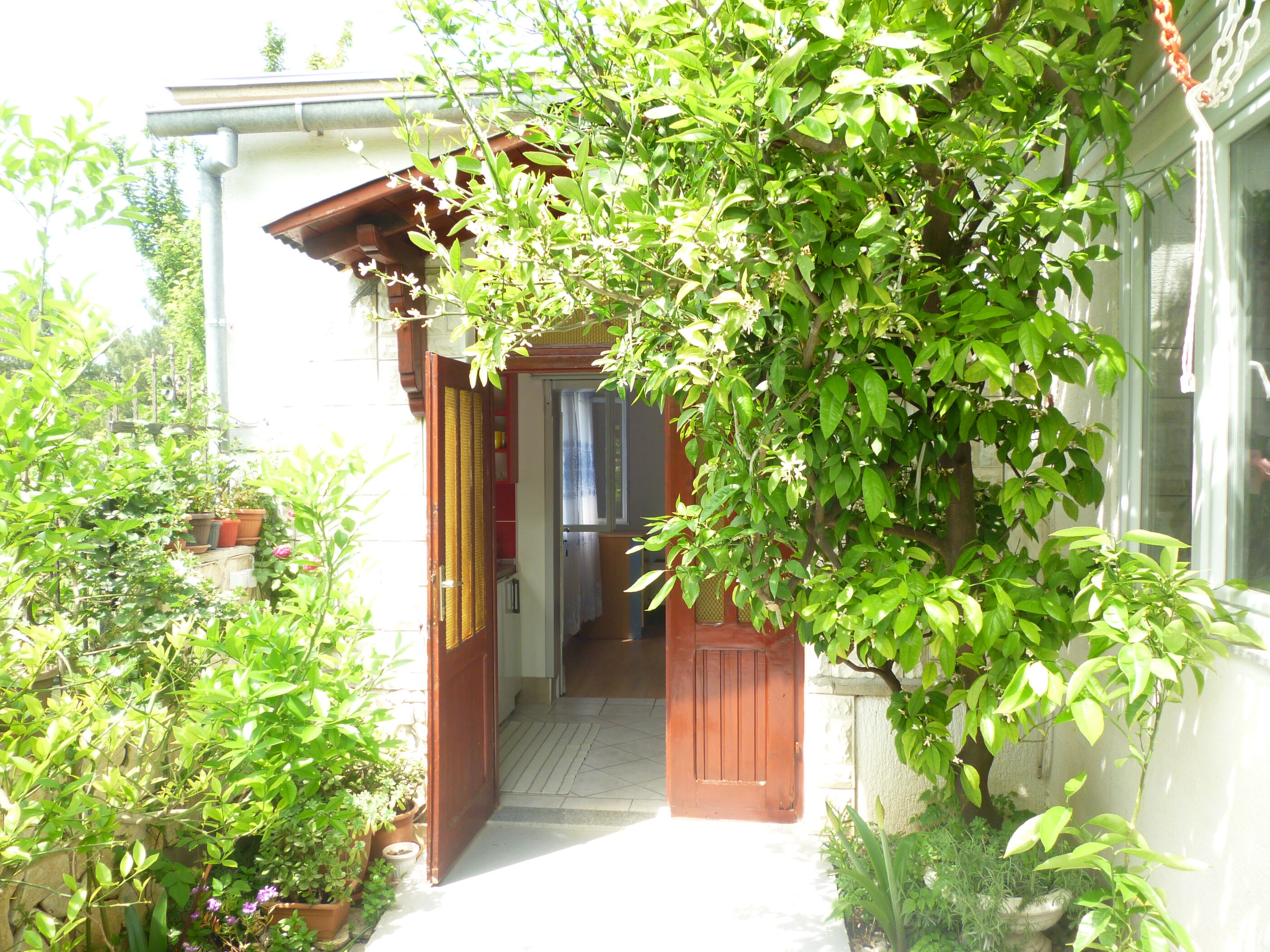 Apartments TINKA-with beautiful garden 40344-A1