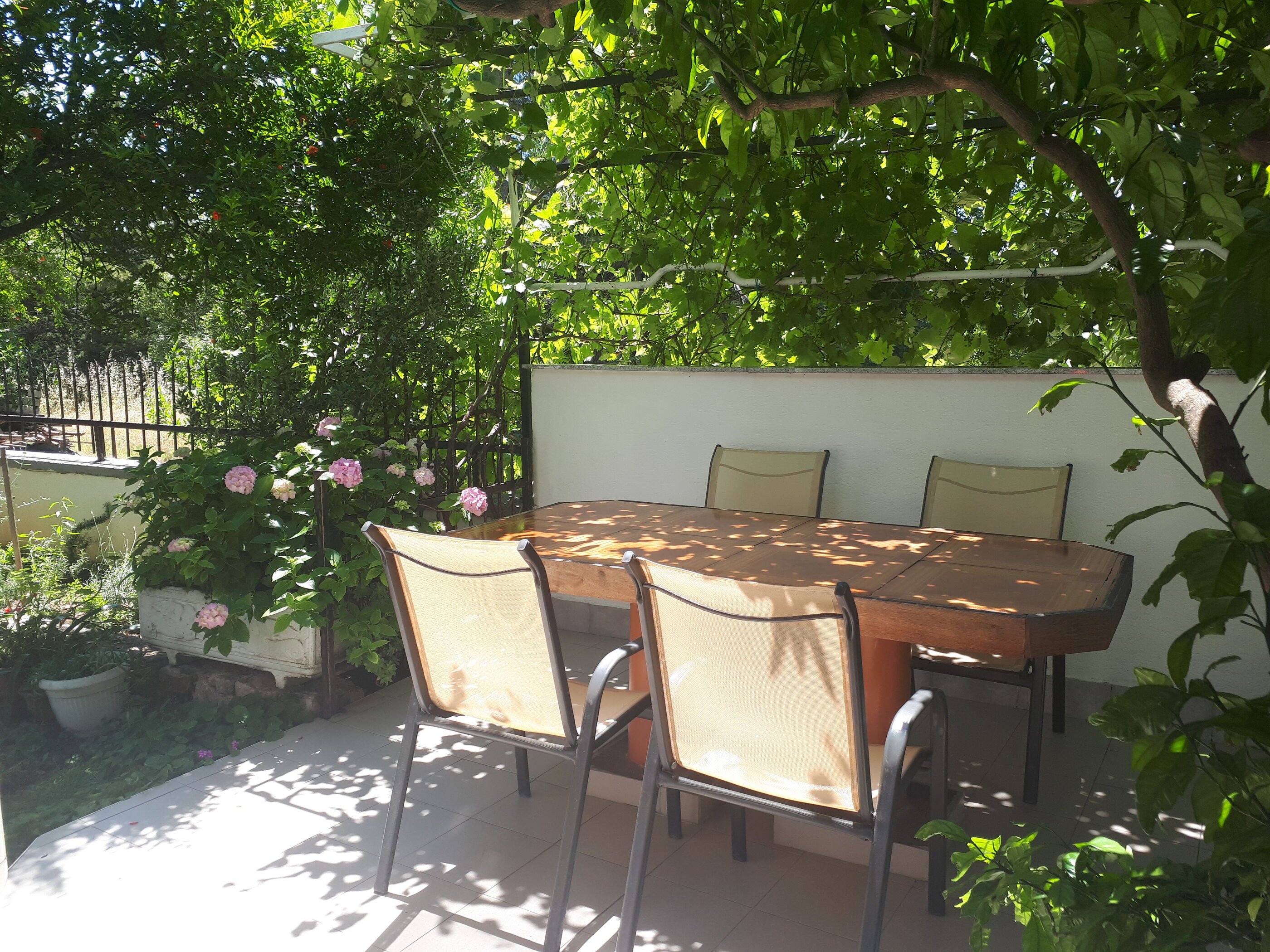 Apartments TINKA-with beautiful garden 40344-A1
