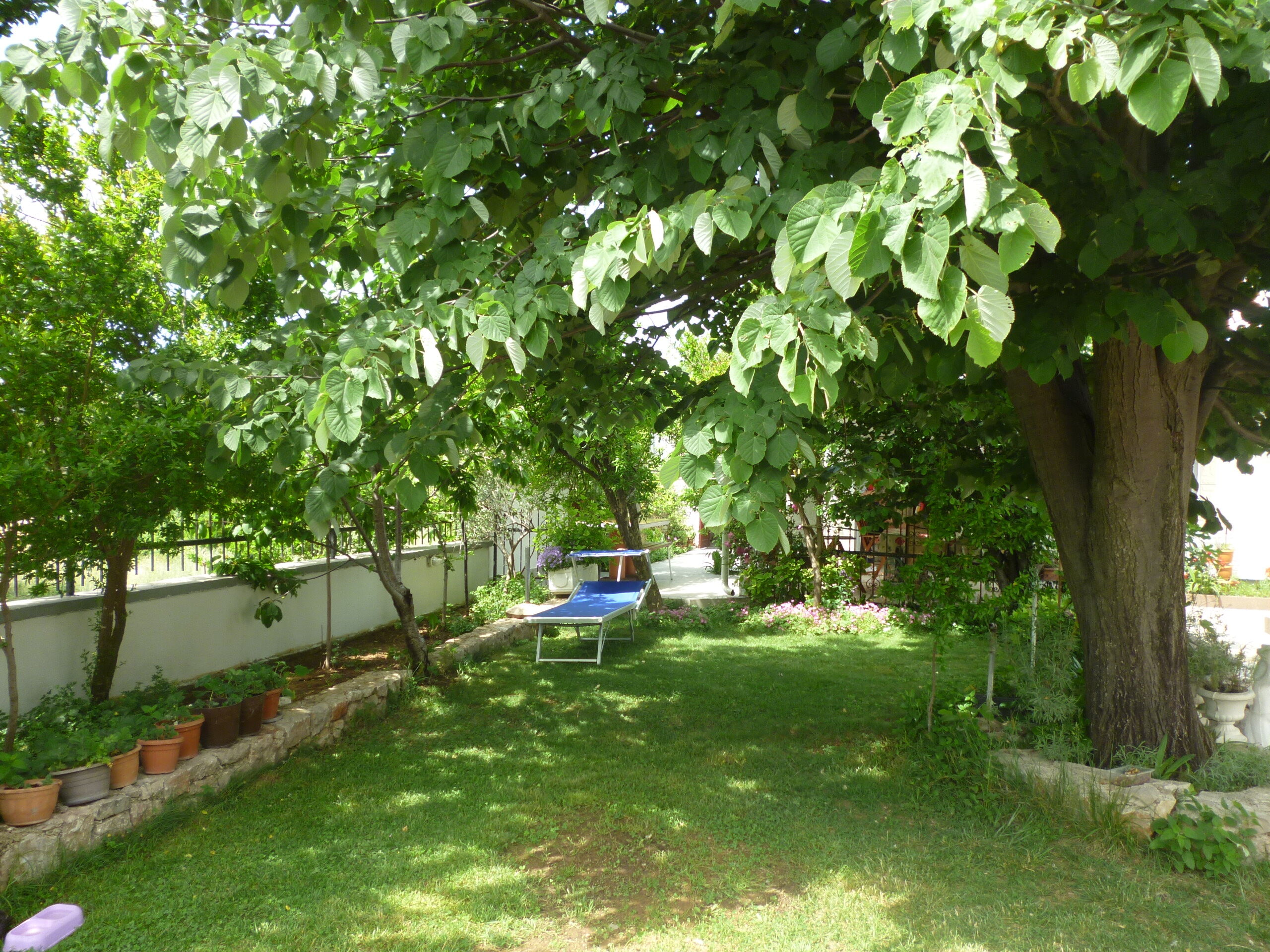 Apartments TINKA-with beautiful garden 40344-A1