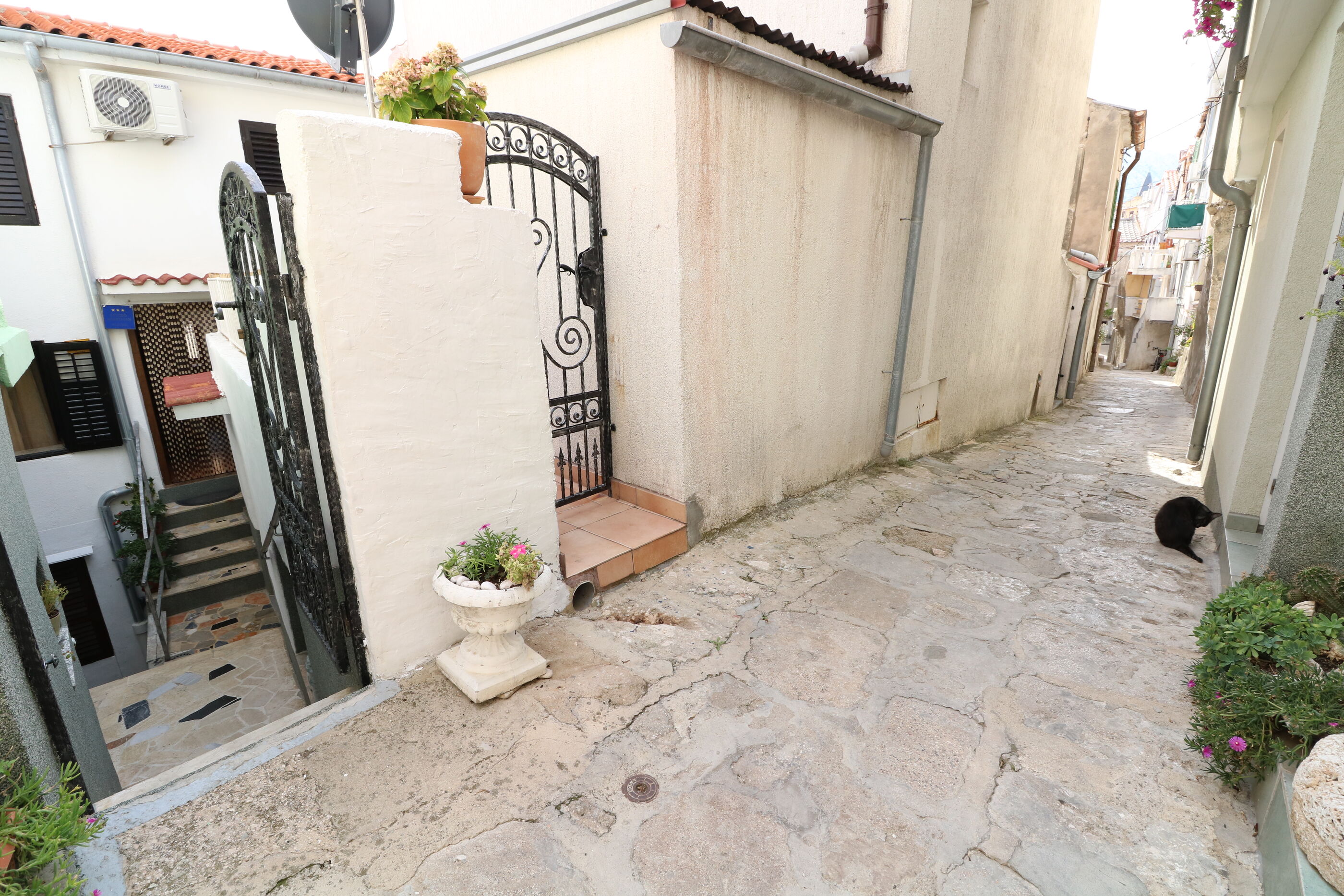 Apartment Dusanka 83114-A1