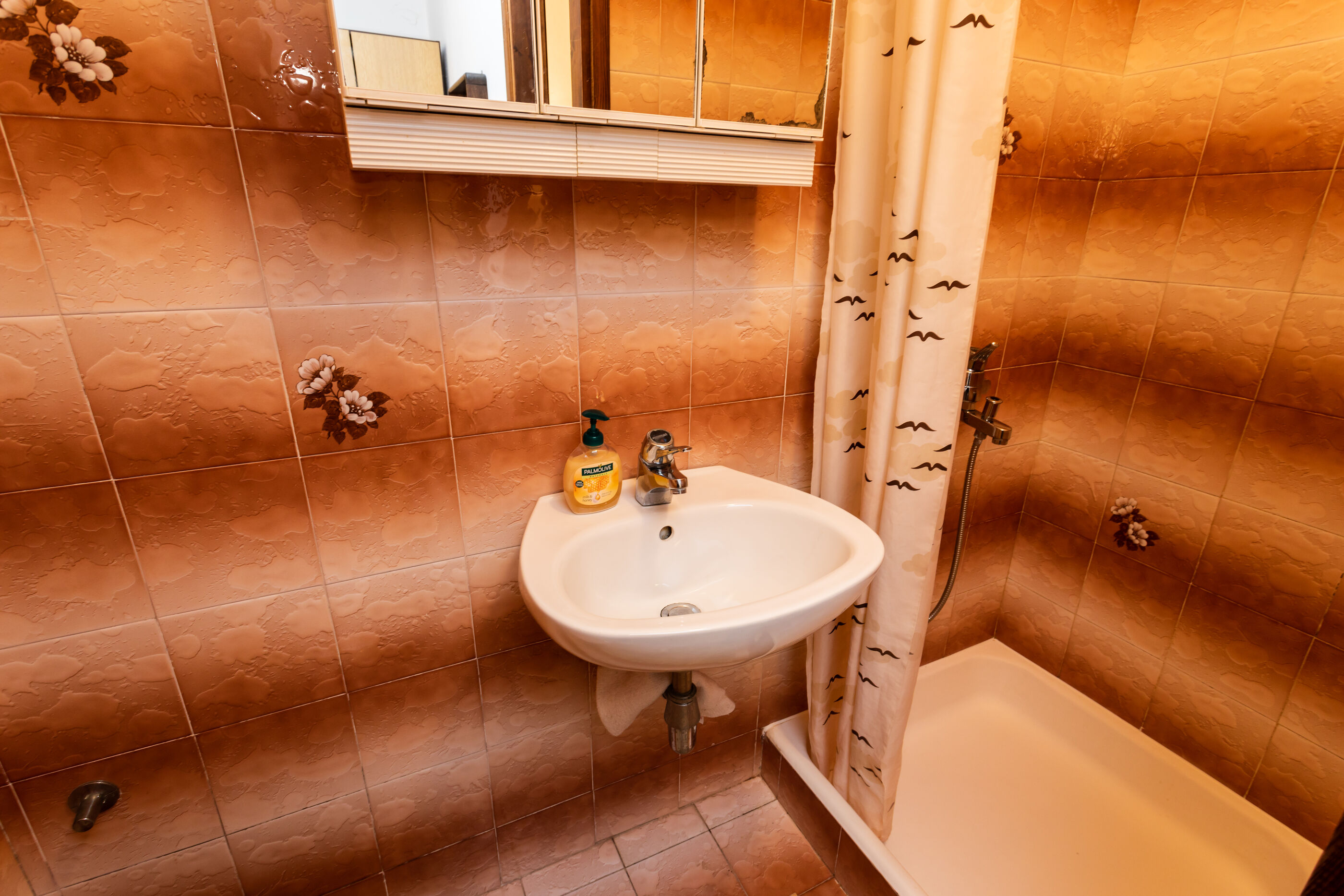 Apartment and Rooms Mira 83119-A1