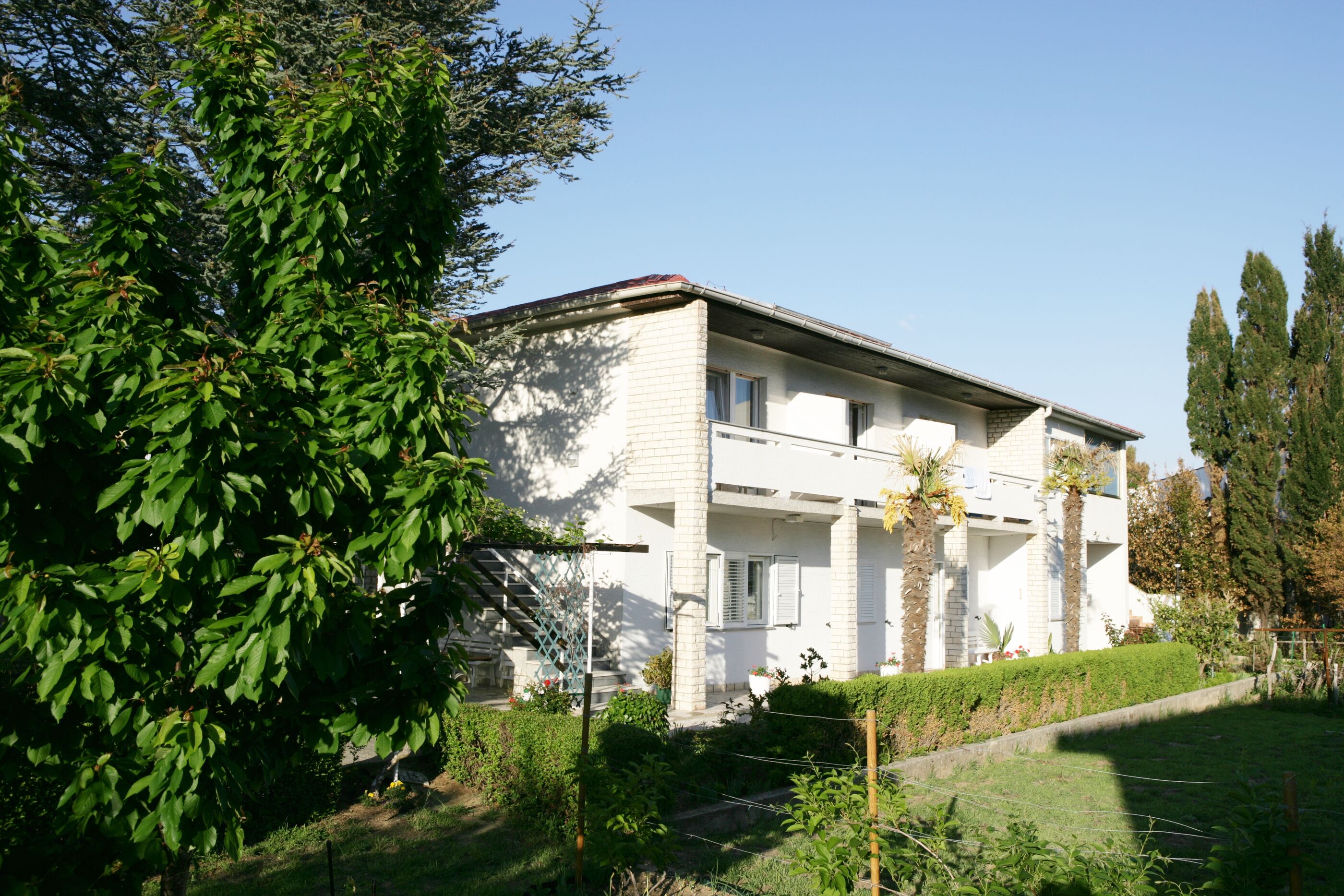 Apartment and Rooms Albina 48321-S3