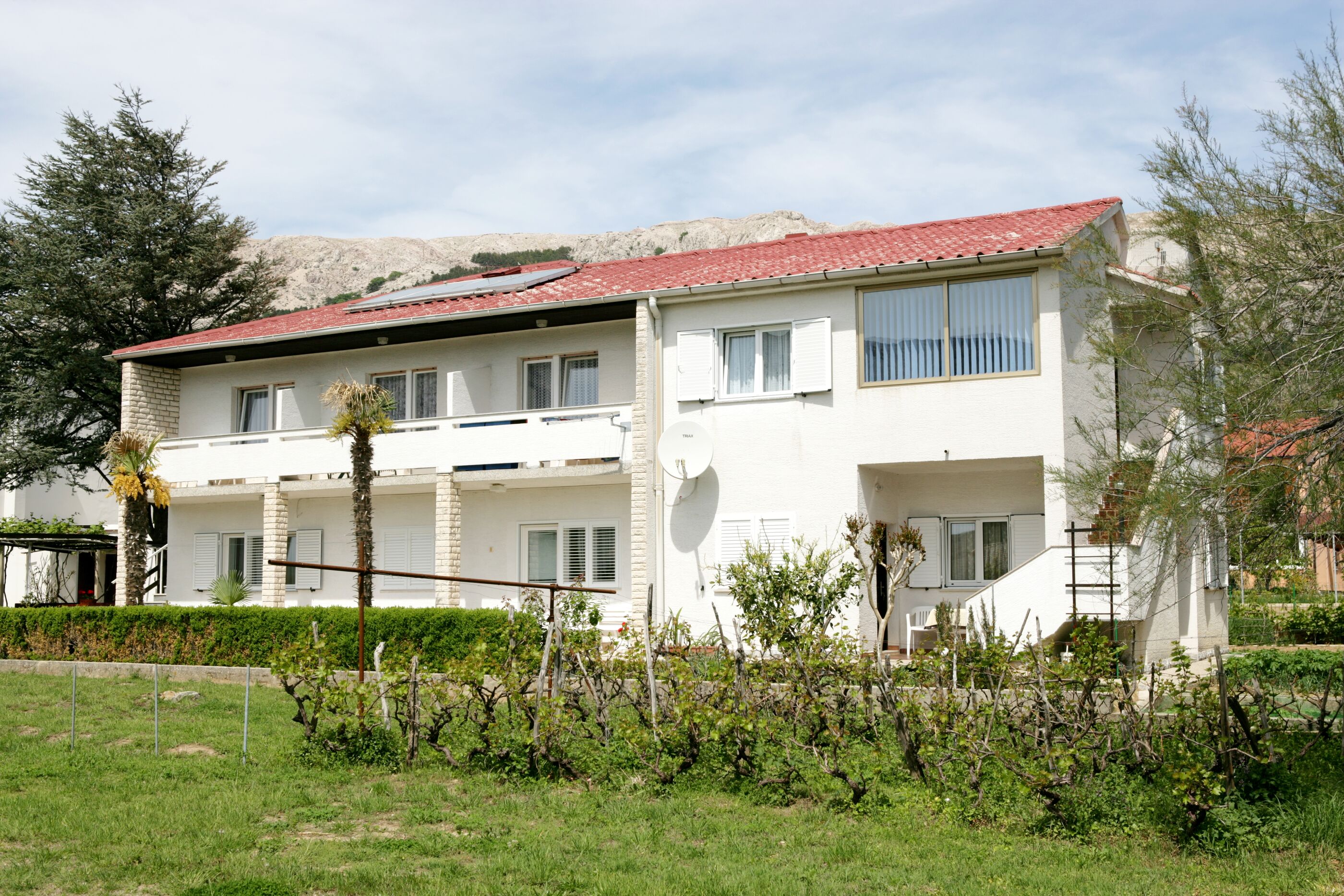 Apartment and Rooms Albina 48321-S3