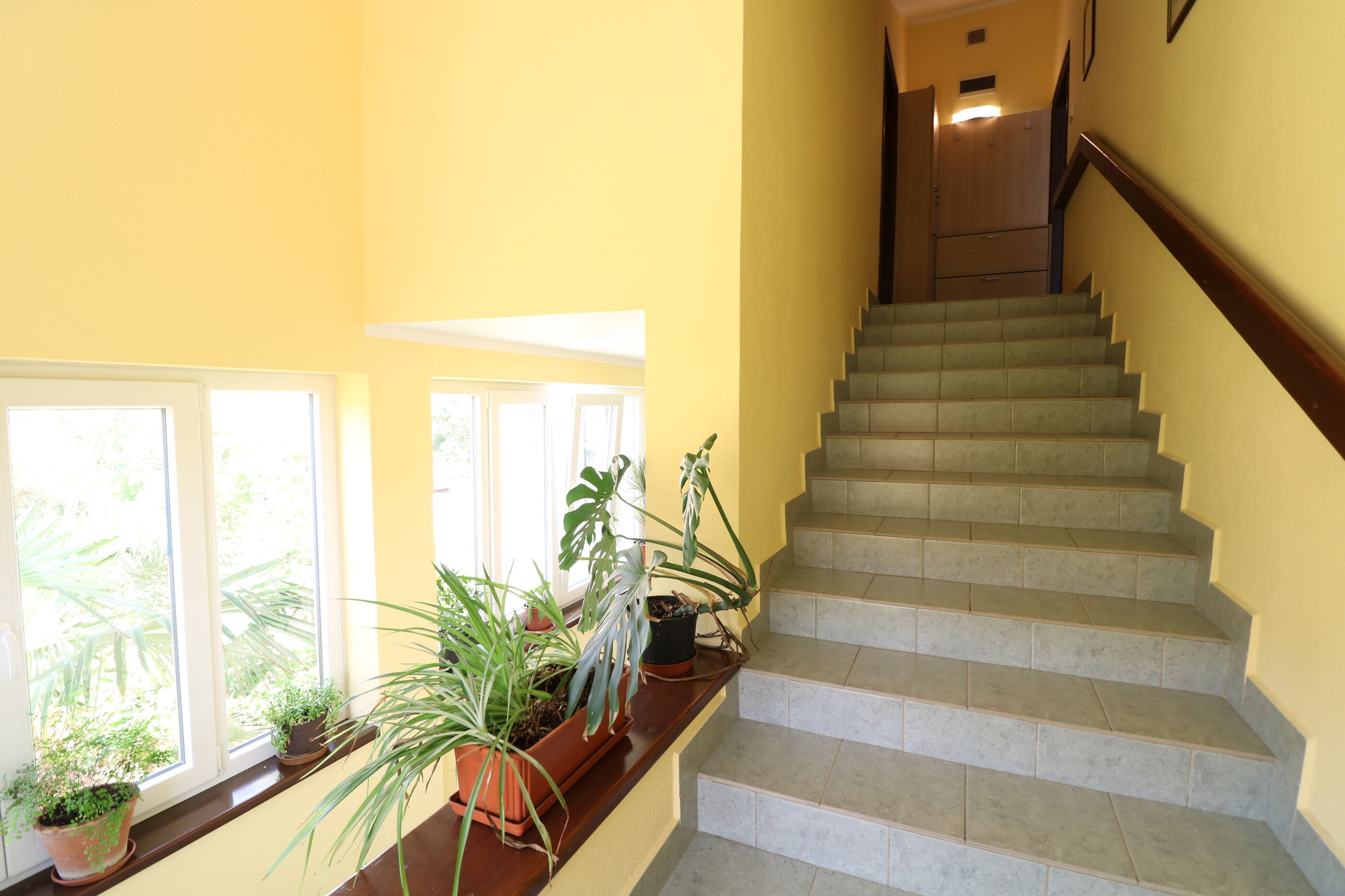 Apartments and Room Jagoda 79538-A4